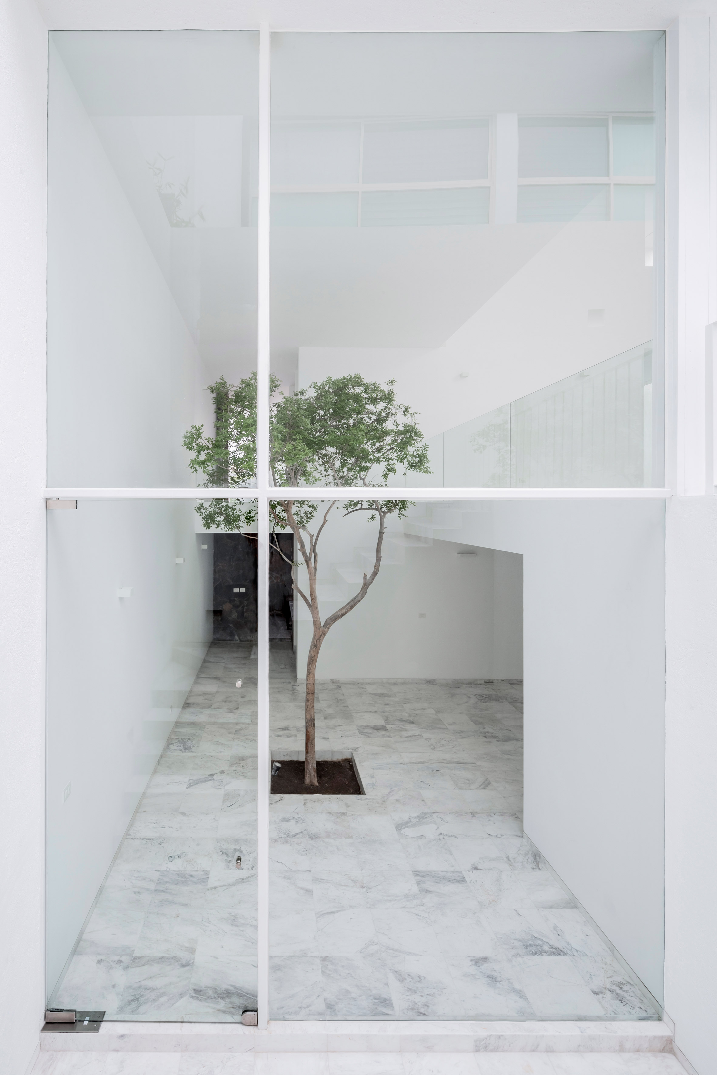 Abraham Cota Paredes' inward-looking Cave House features huge window to tree-planted atrium-7