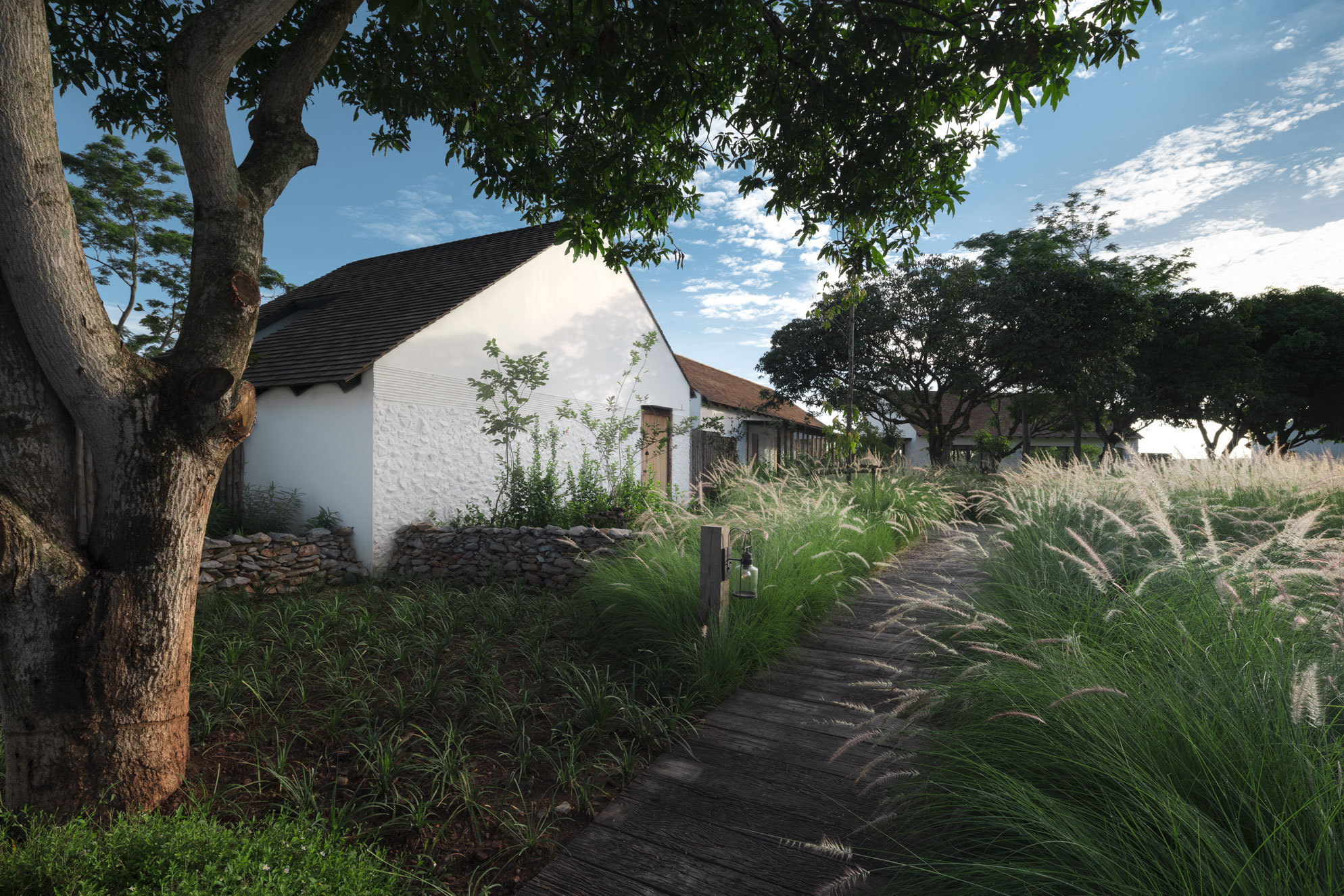 泰国鲁赫·奇莉·考艾酒店(Roukh Kiri Khao Yai Hotel)(2020)(Onion)设计-41