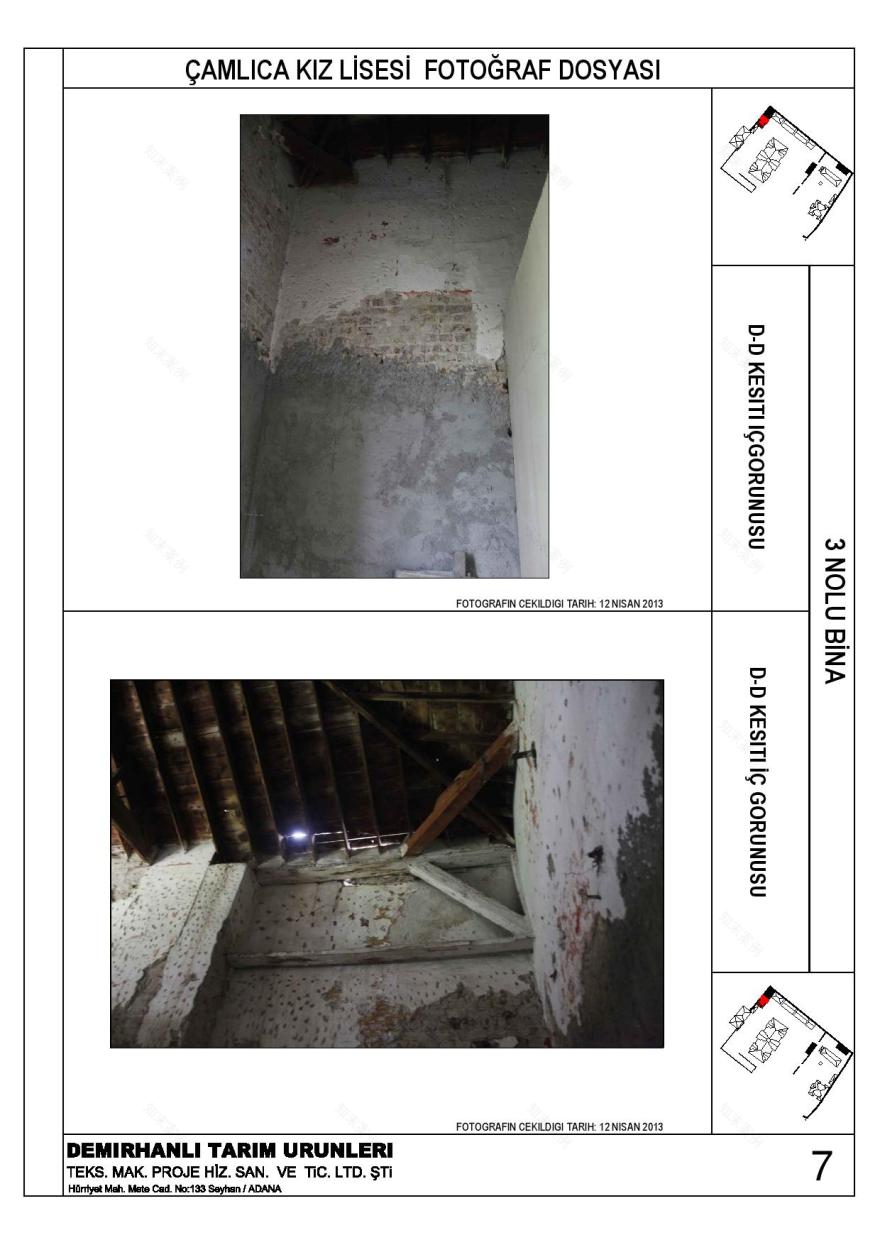 卡米卡高中历史墙保护-11
