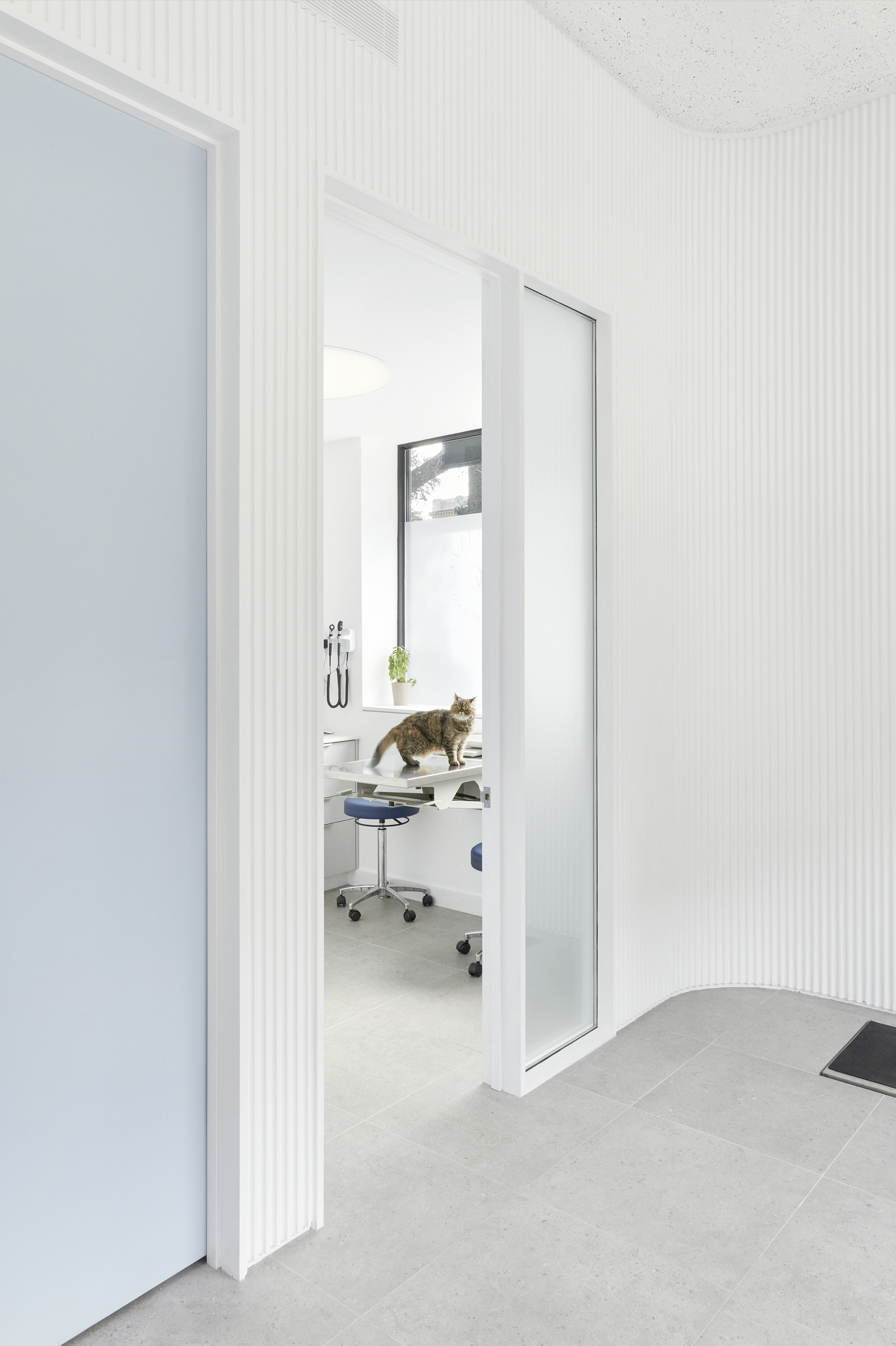 Brilliant Veterinary Care 宠物诊所丨美国曼哈顿丨Group Projects Architecture-28