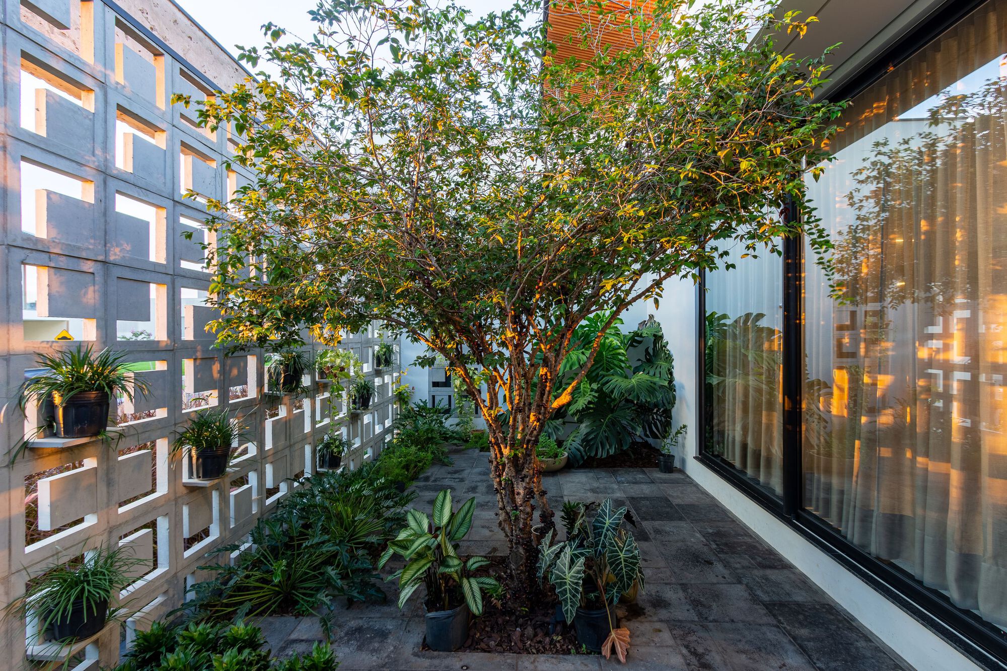 绿色房子或绿房子 丨巴西丨AC ARQUITETURA-21