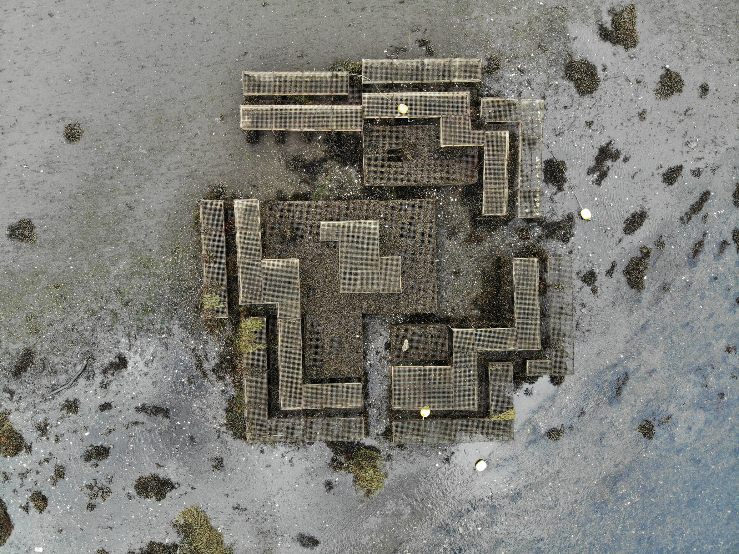 美食驱动 | 建筑师探讨食物与环境关系-40