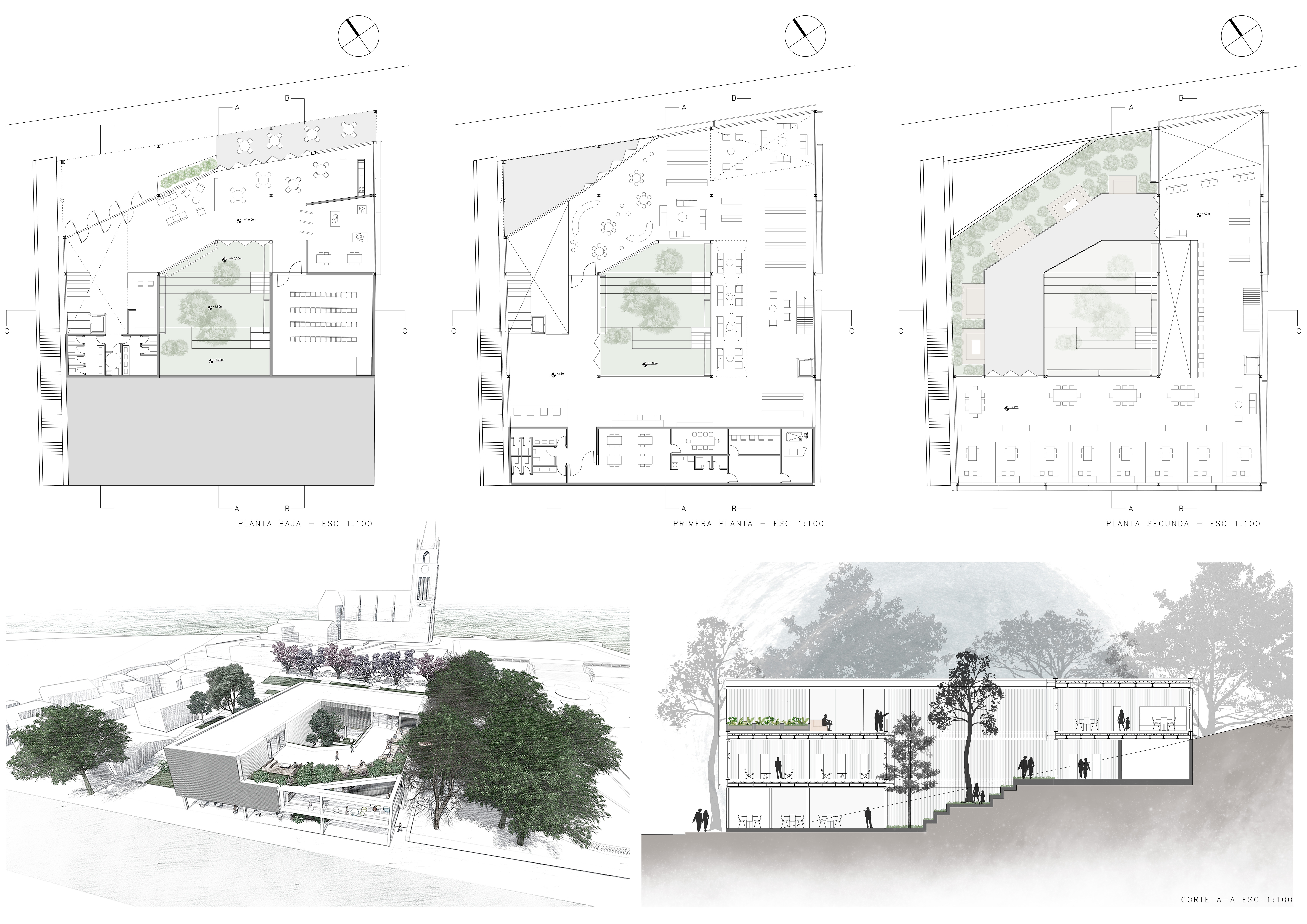 A2 - BIBLIOTECA EN SAN ISIDRO - CATEDRA ROCA SARDÍN-1