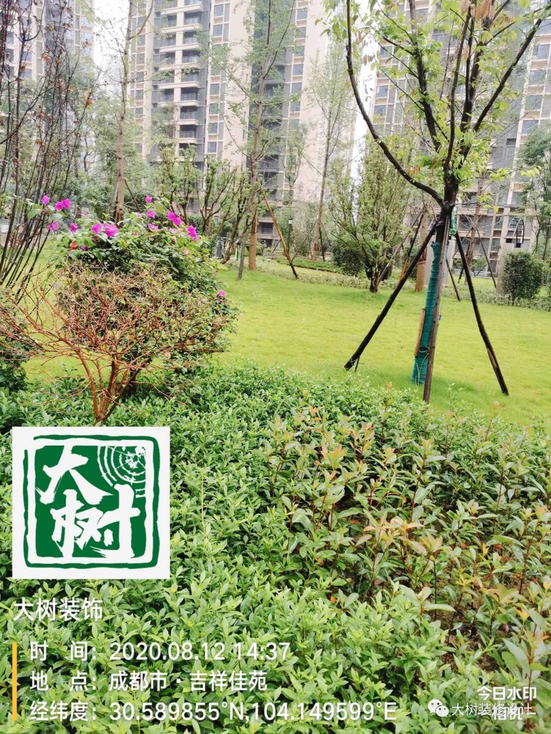 人居东城花汇小区绿化现场探秘-15