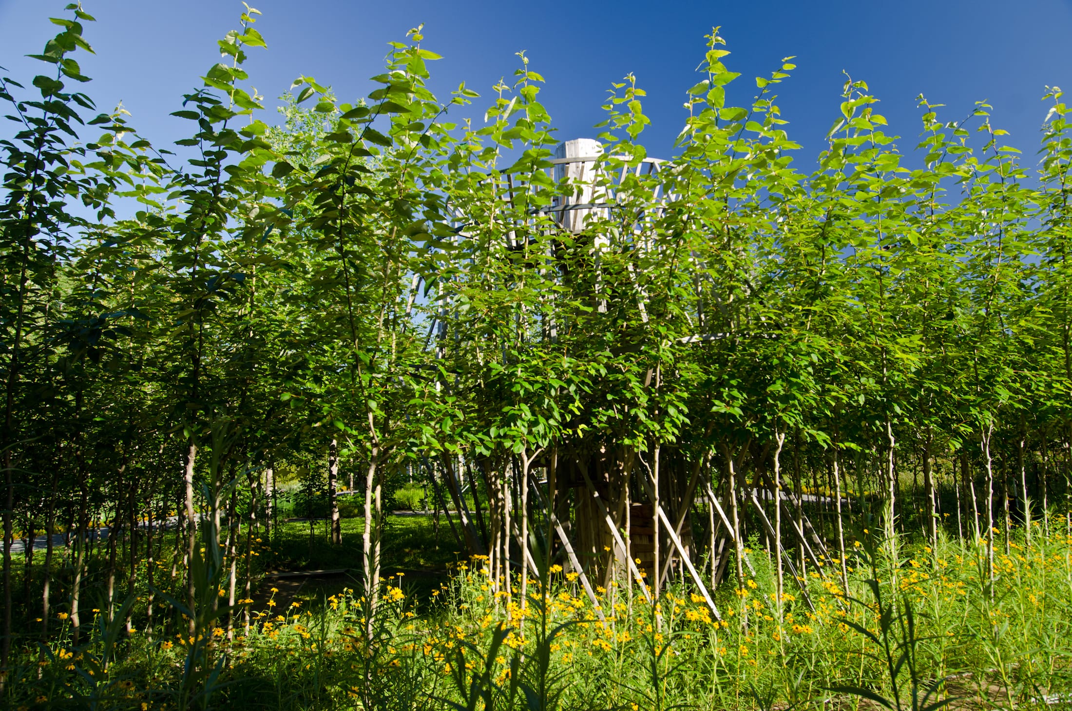 2019加拿大国际花园节(第二部分),Reford Gardens-96