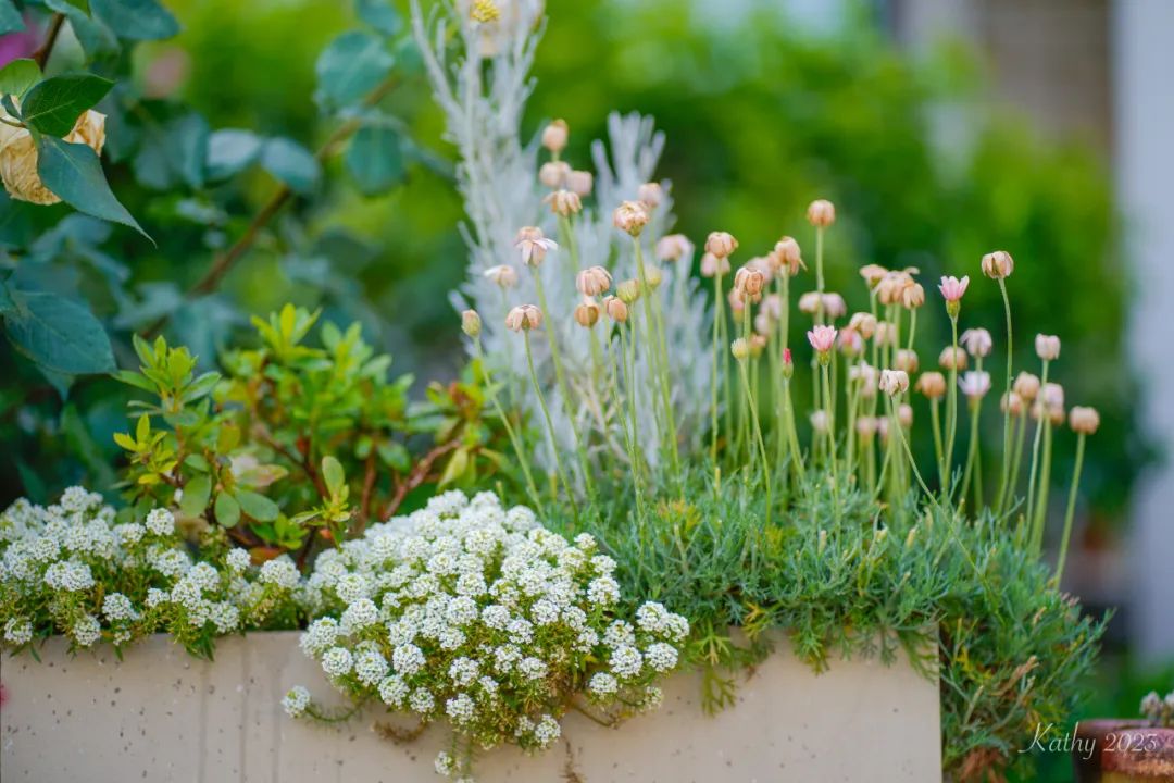 一米花园丨中国上海丨专业设计团队-75