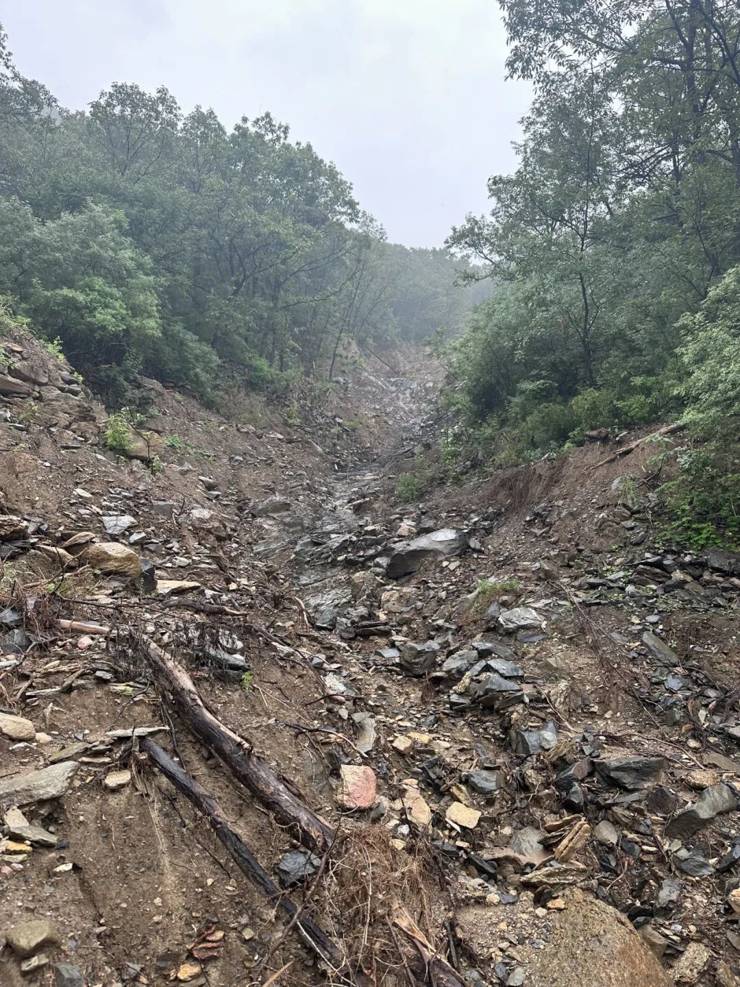 北京悉昙酒店景观设计丨中国北京丨日建设计-8