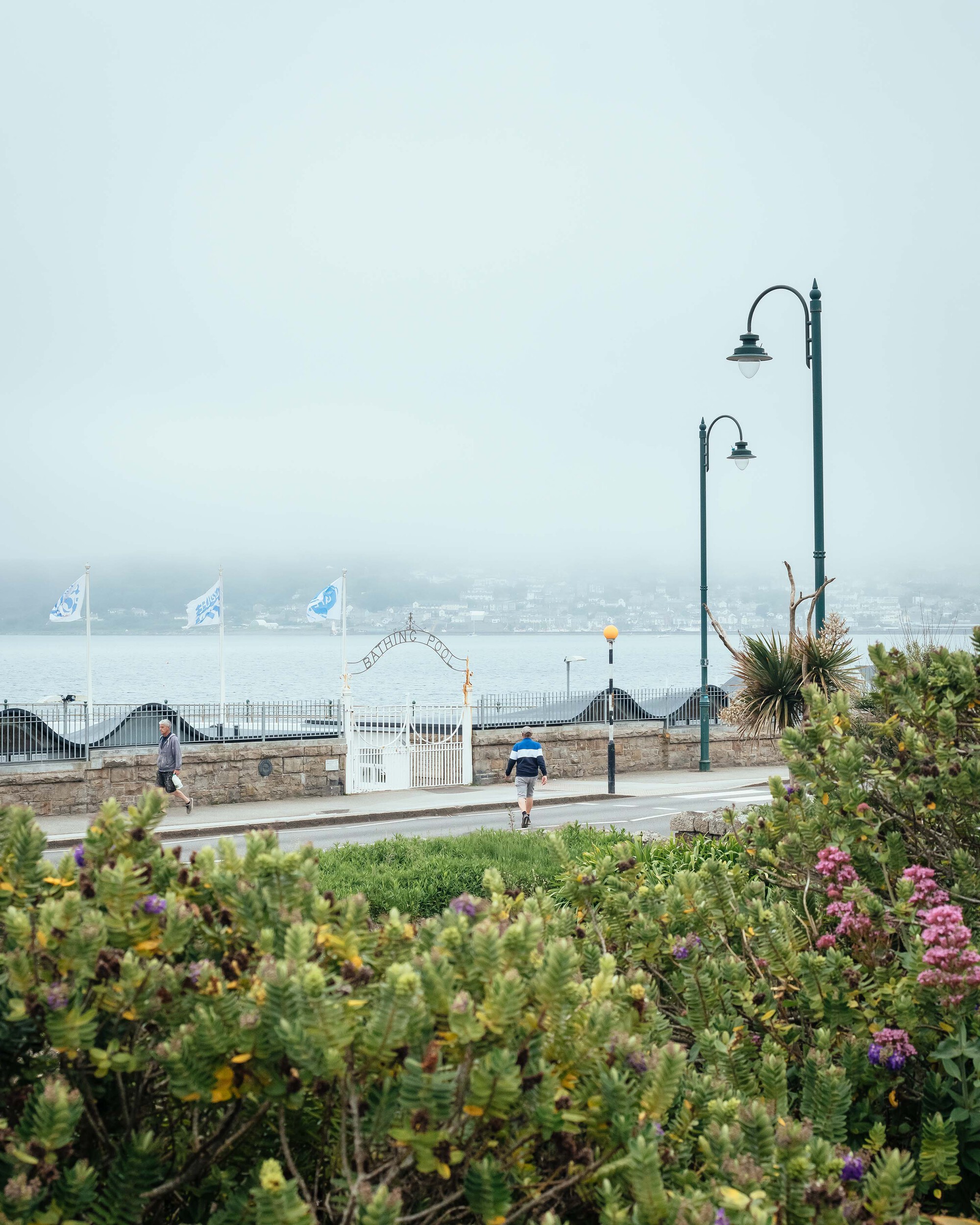 朱比利泳池丨英国丨ScottWhitbyStudio-34