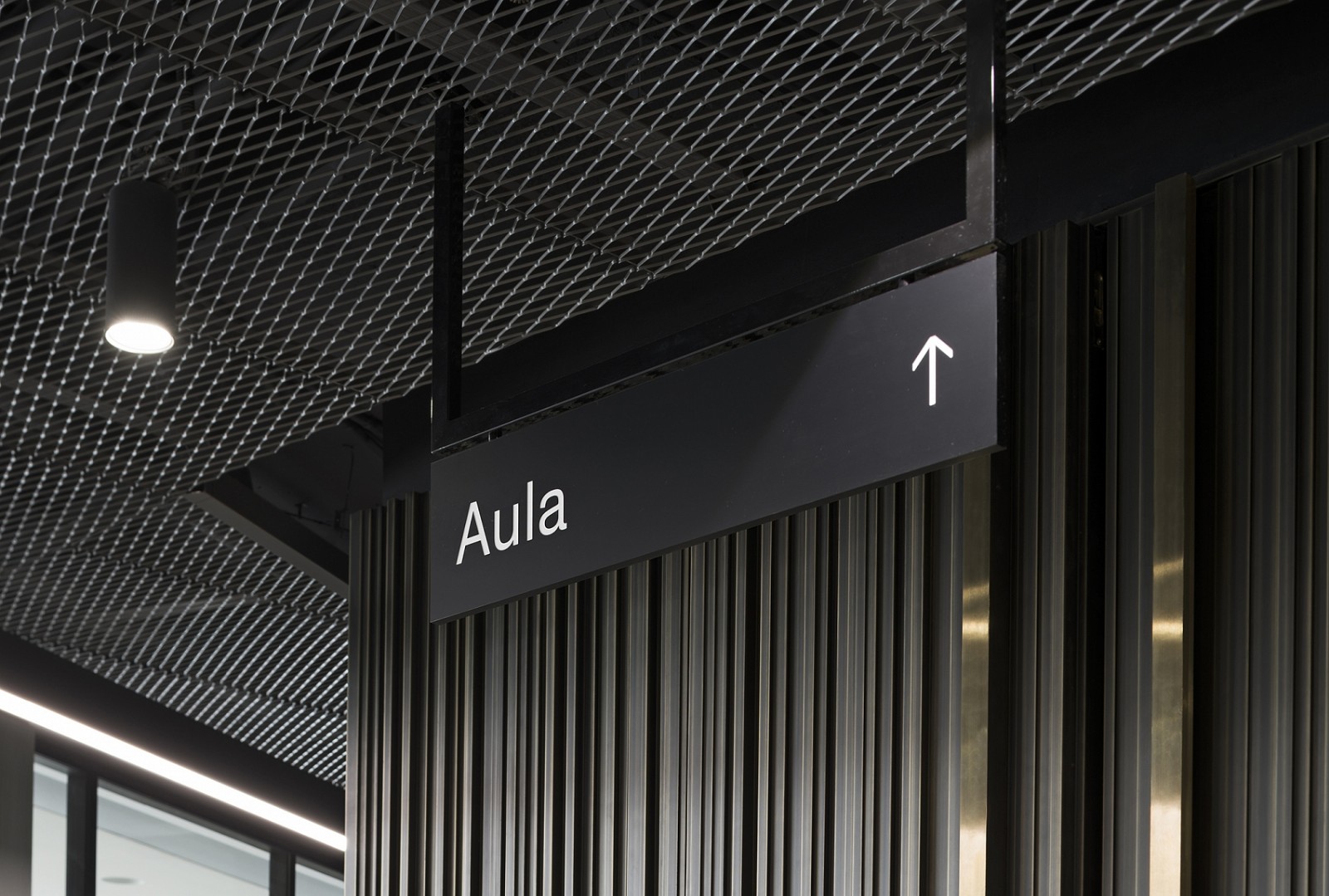 Office / Graphic layer-10