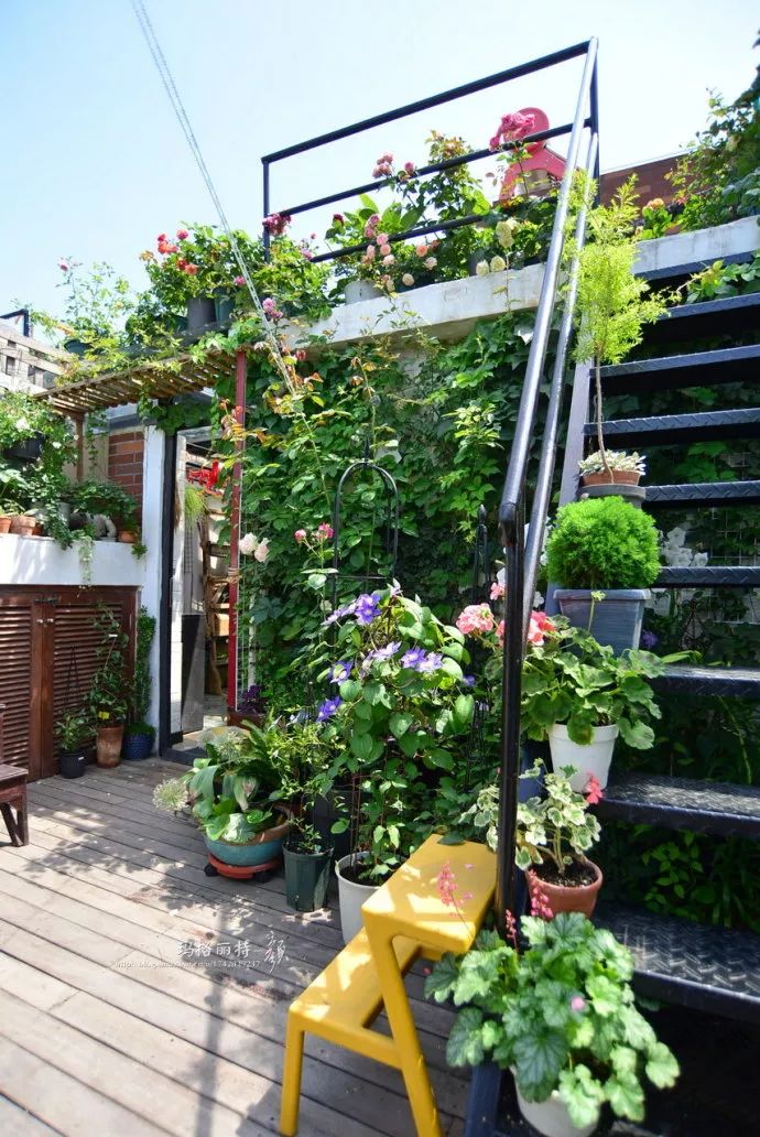 她在楼顶悄悄建了一座梦想花园，美翻了！这才是把日子过成诗的样子-177