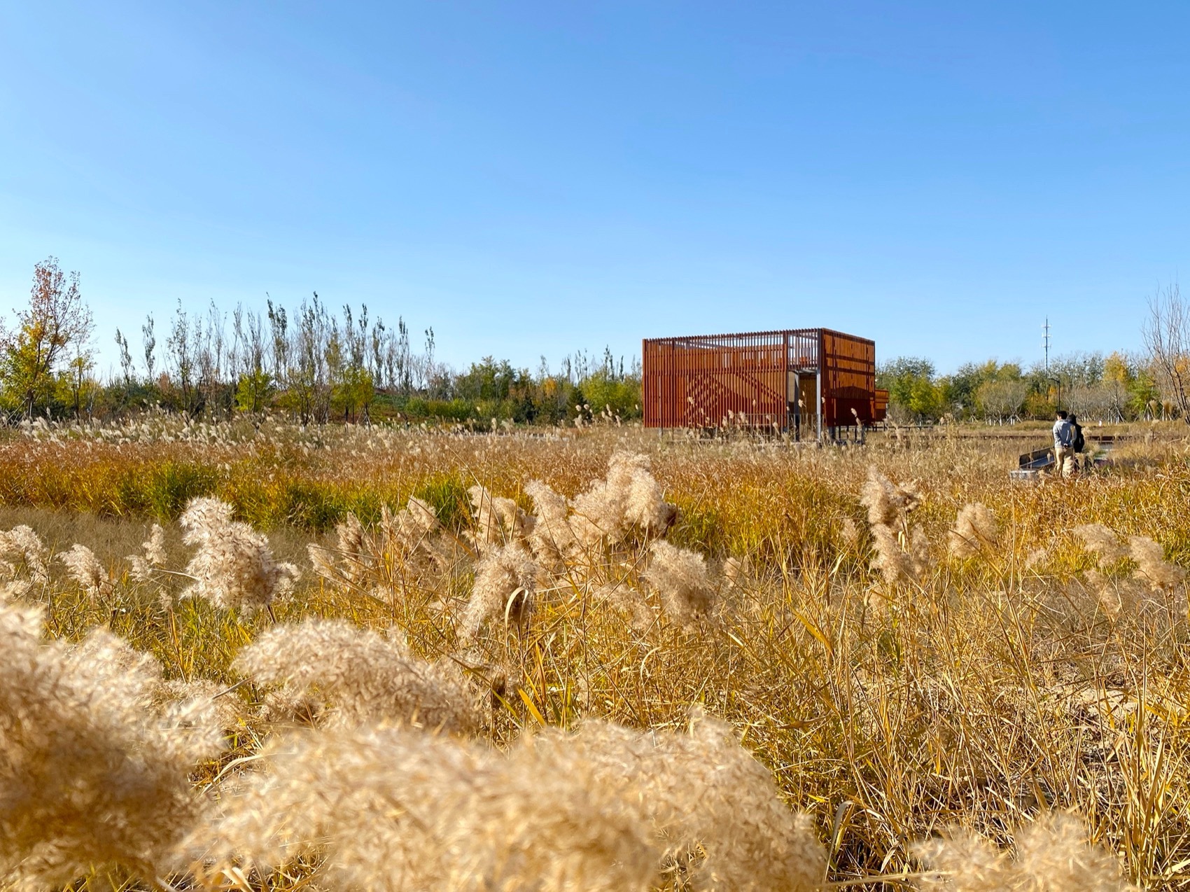 北京饮鹿池公园丨中国北京丨BLLA冯潇工作室,北京山水和泓风景园林设计院有限公司-55
