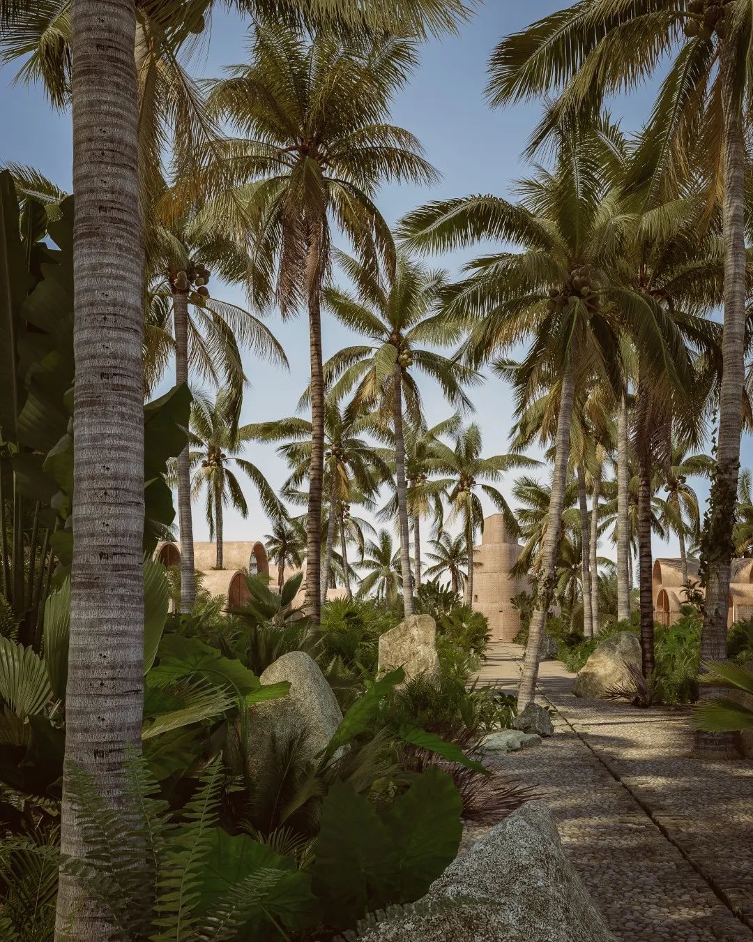 墨西哥海边亲生物住宅 · Casa Los Tigres House-60