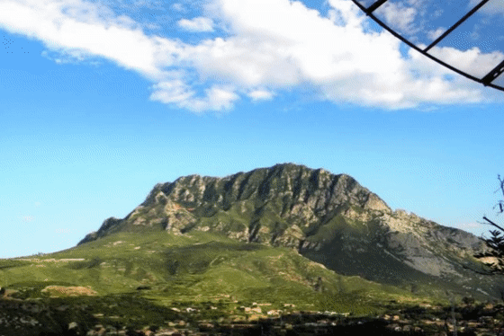 北京桃李春风-13