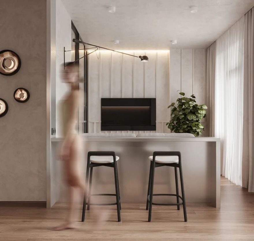 44㎡小宅设计丨Dmitry Shevchenko-6