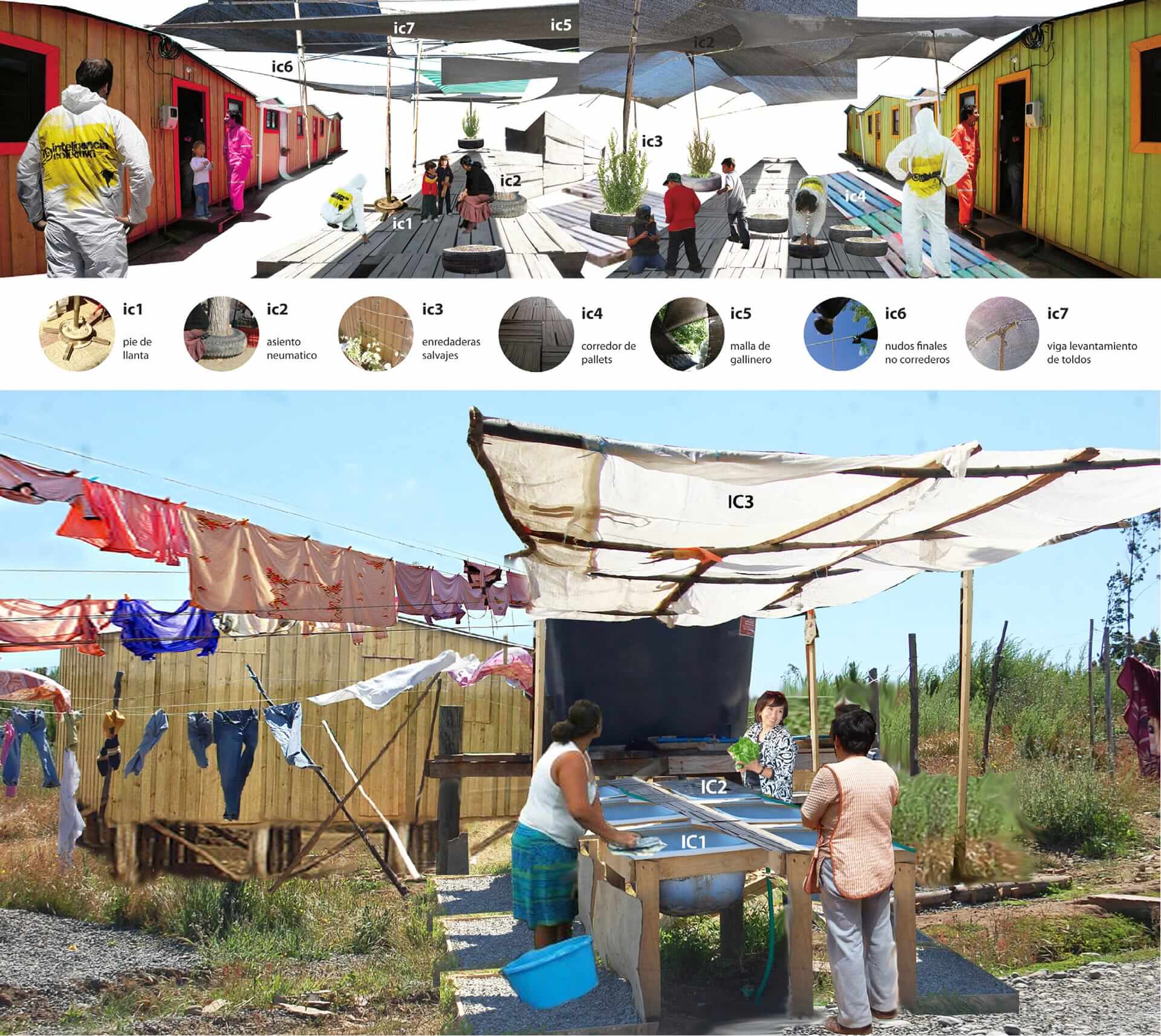 丨智利丨Zoohaus-2