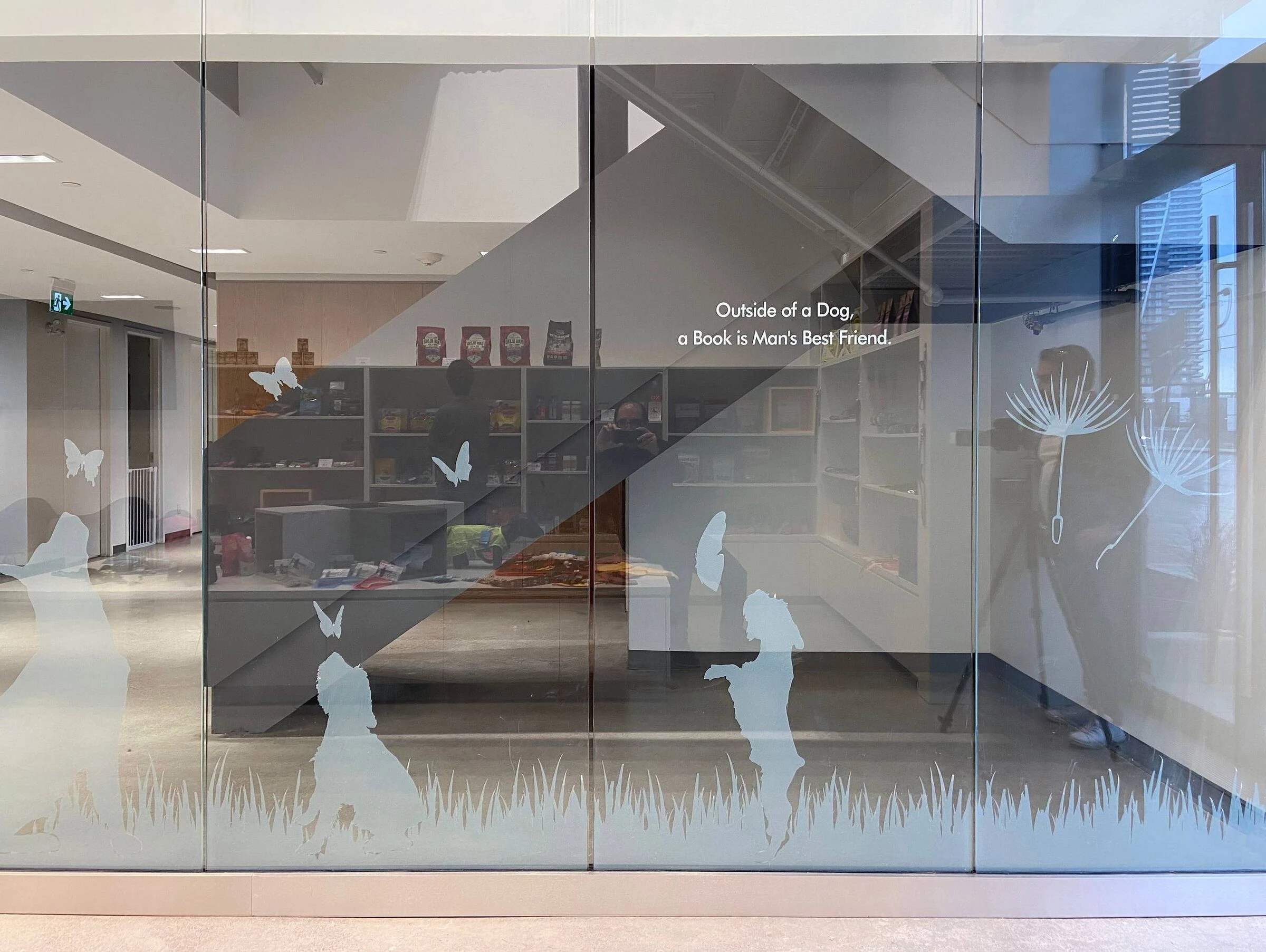 Park Lawn Dog Daycare-30