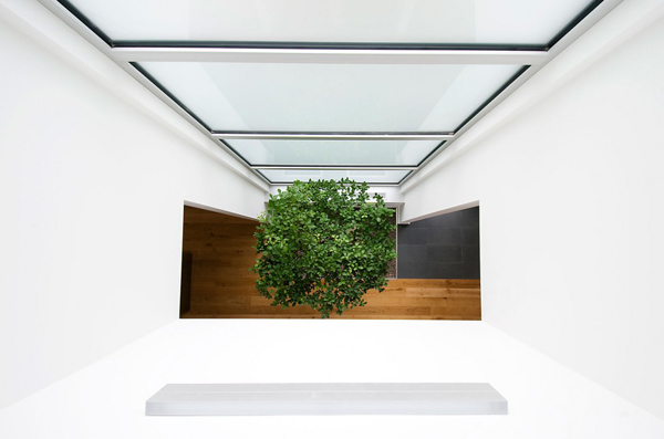 现代折叠住宅（Fold Place）丨加拿大渥太华丨Linebox Studio-30