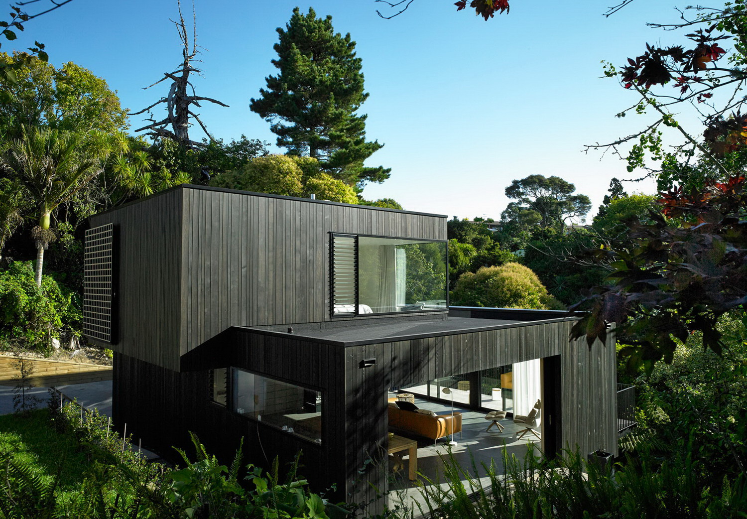 新西兰森林中的木制住宅-19