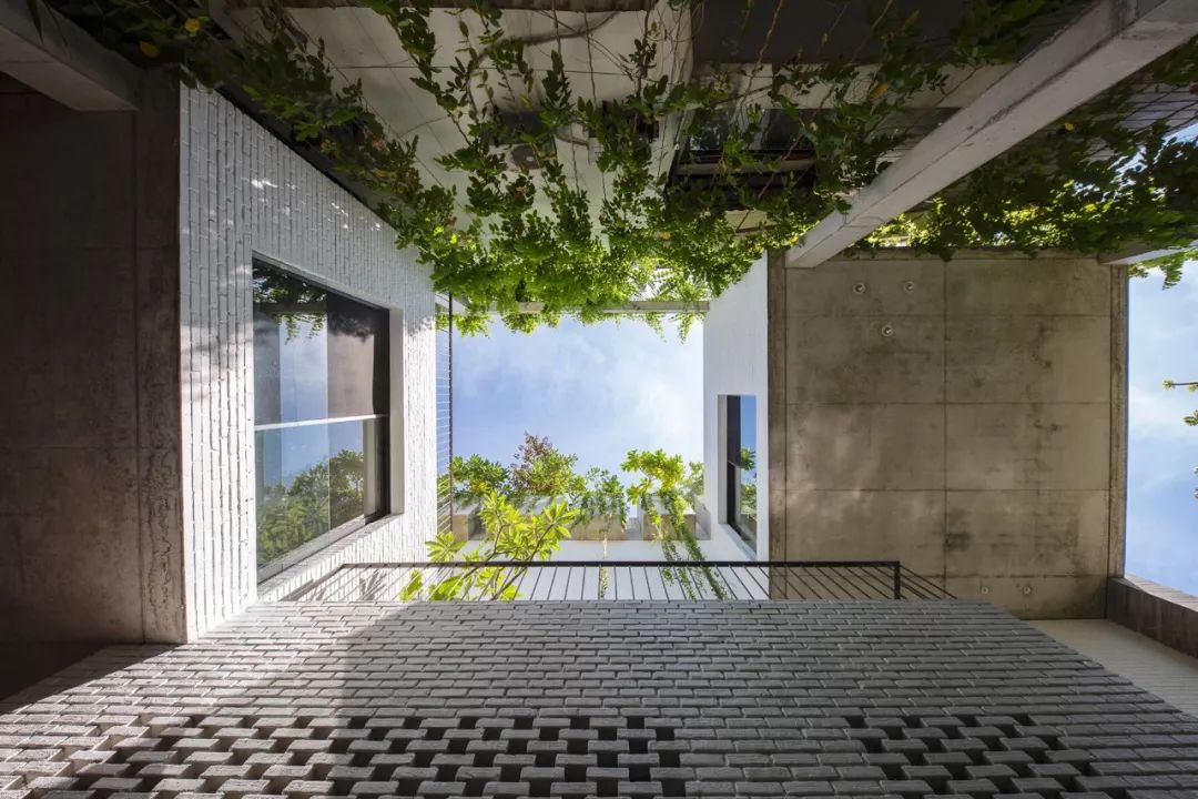 世界各地好看的家 ｜ 由自然作为主角的向往空间-7