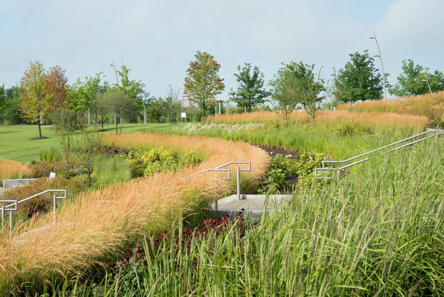 伊顿世界总部丨美国克利夫兰丨Pickard Chilton Architects 等-16