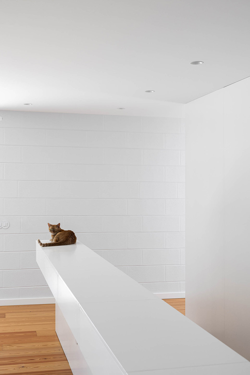 Sobreiro 住宅丨葡萄牙丨Skemba Studio-133