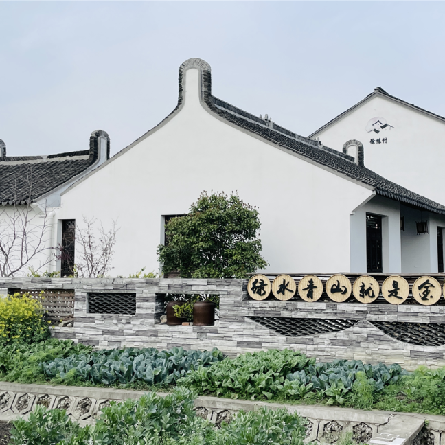 境作|恋“练”春光，“宝藏”踏青地：青浦徐练村，有多好逛？-81