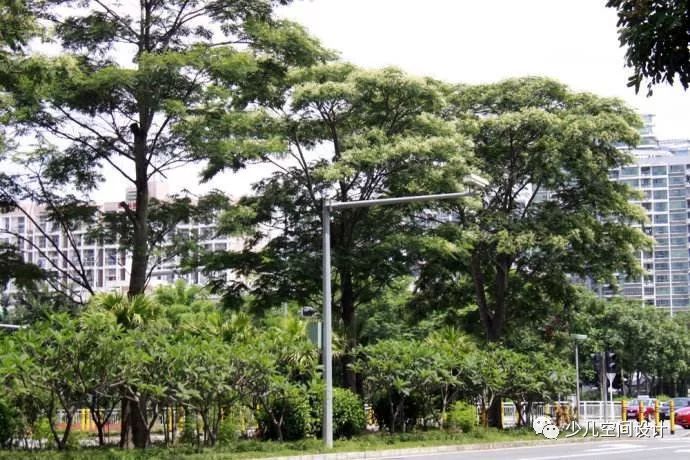 E+kids国际学府,小空间里的大学校 | 集合设计-6