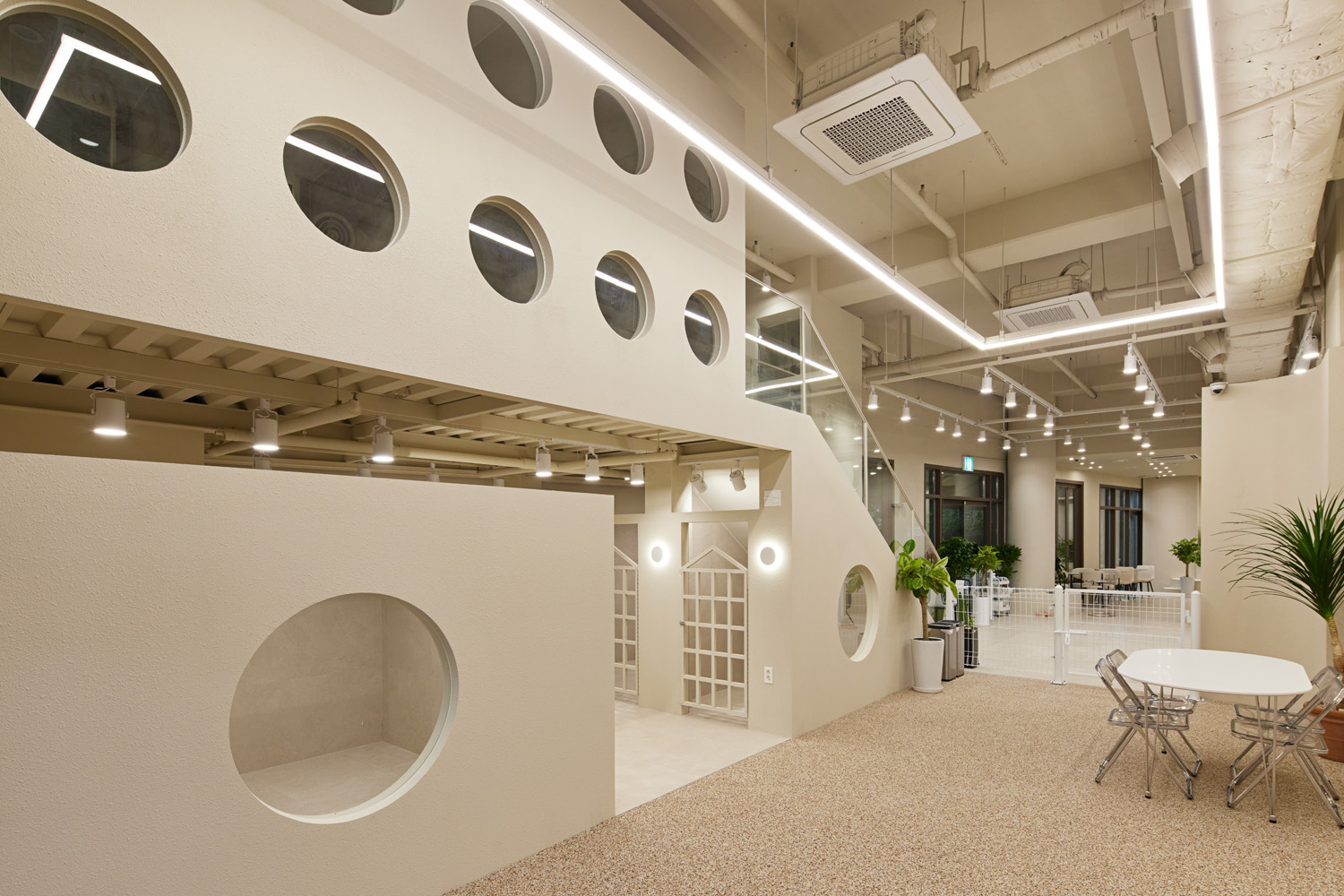 70 平宠物酒店，打造温馨如白洞咖啡馆的氛围-10