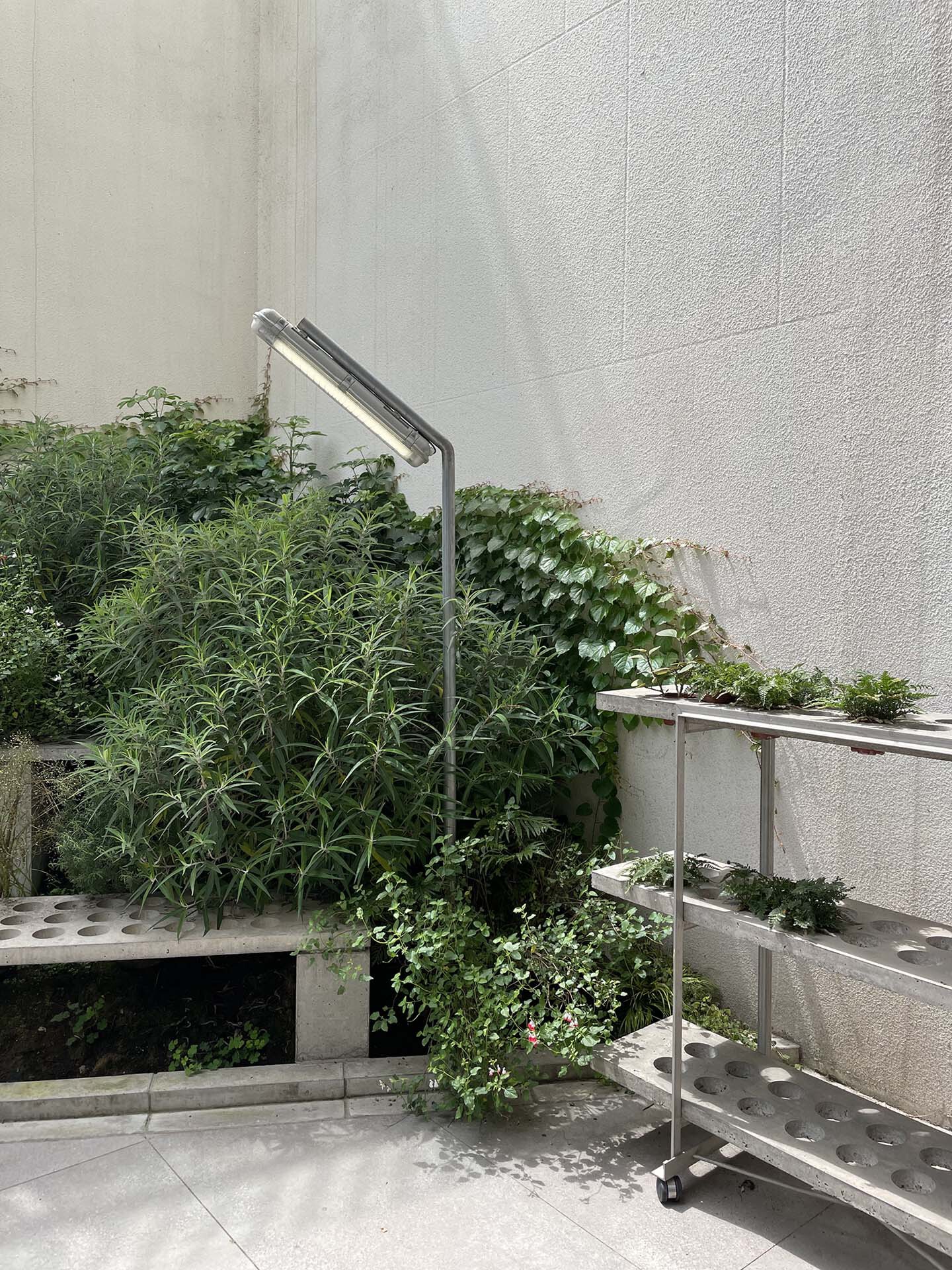 在帕克常规店丨中国成都丨CASE PAVILION-42