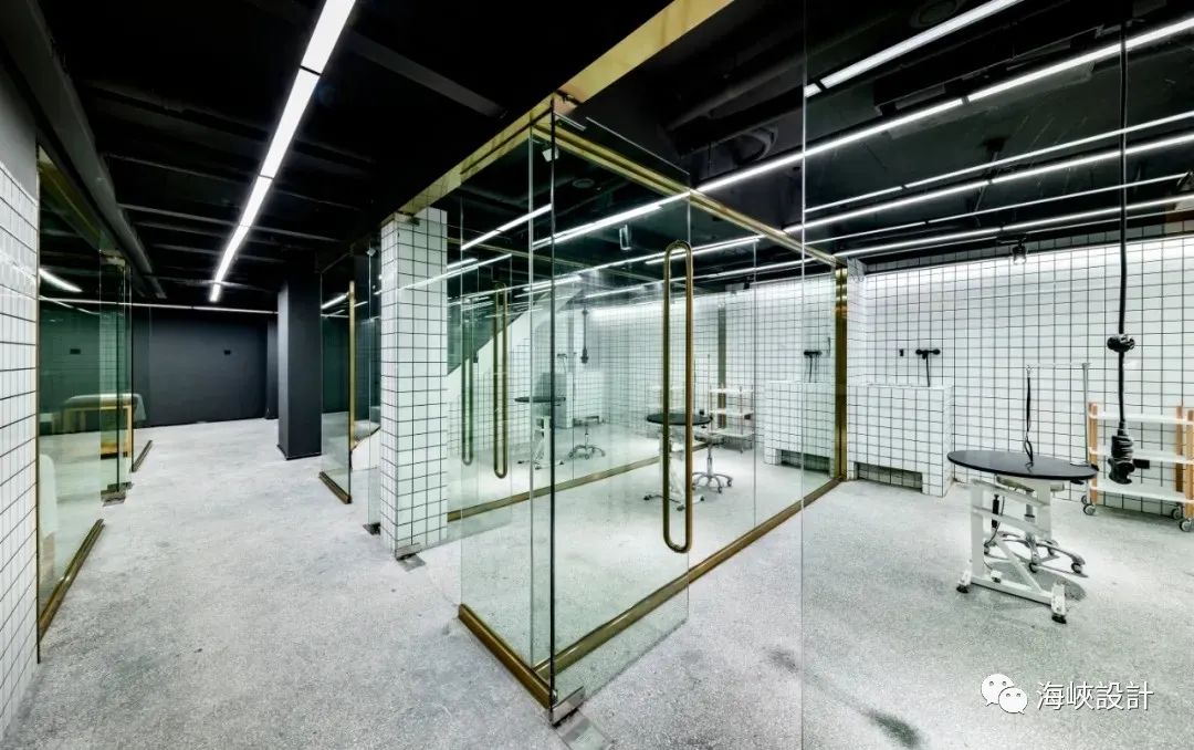 福州卡夫·House 五星級寵物店,設計演繹浪漫與精致-33