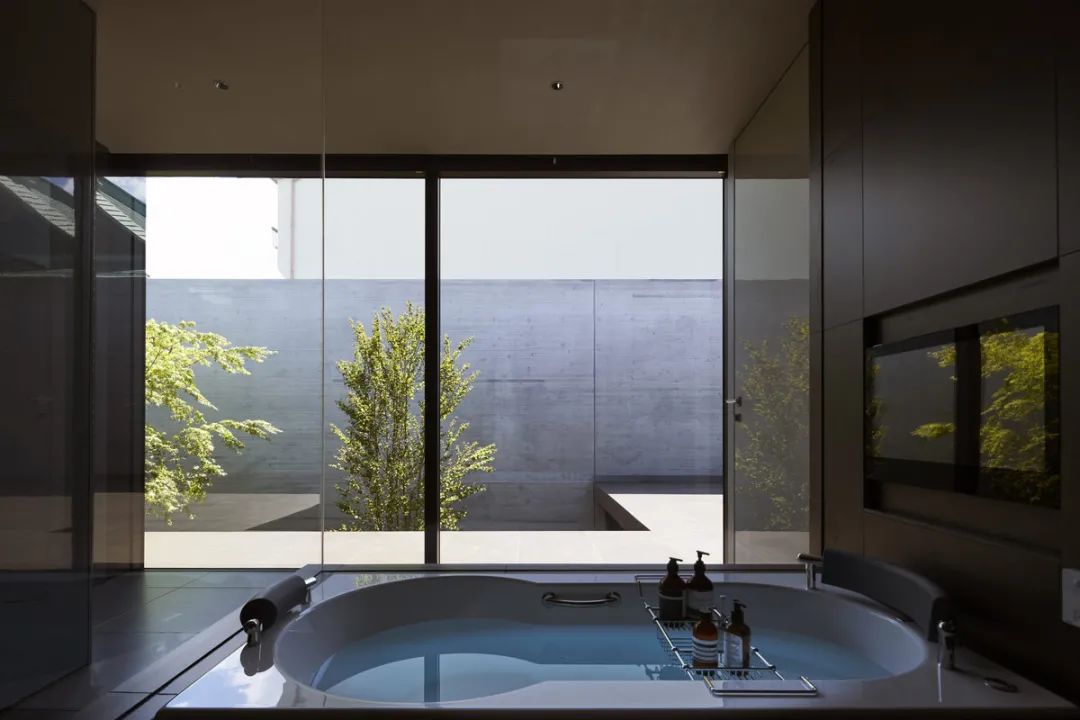 日本野兽派庭院住宅-50