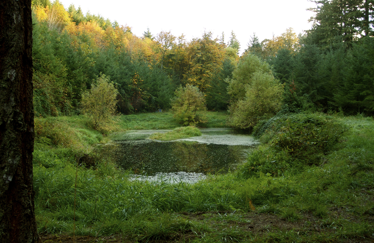 美国纽伯格私宅-15