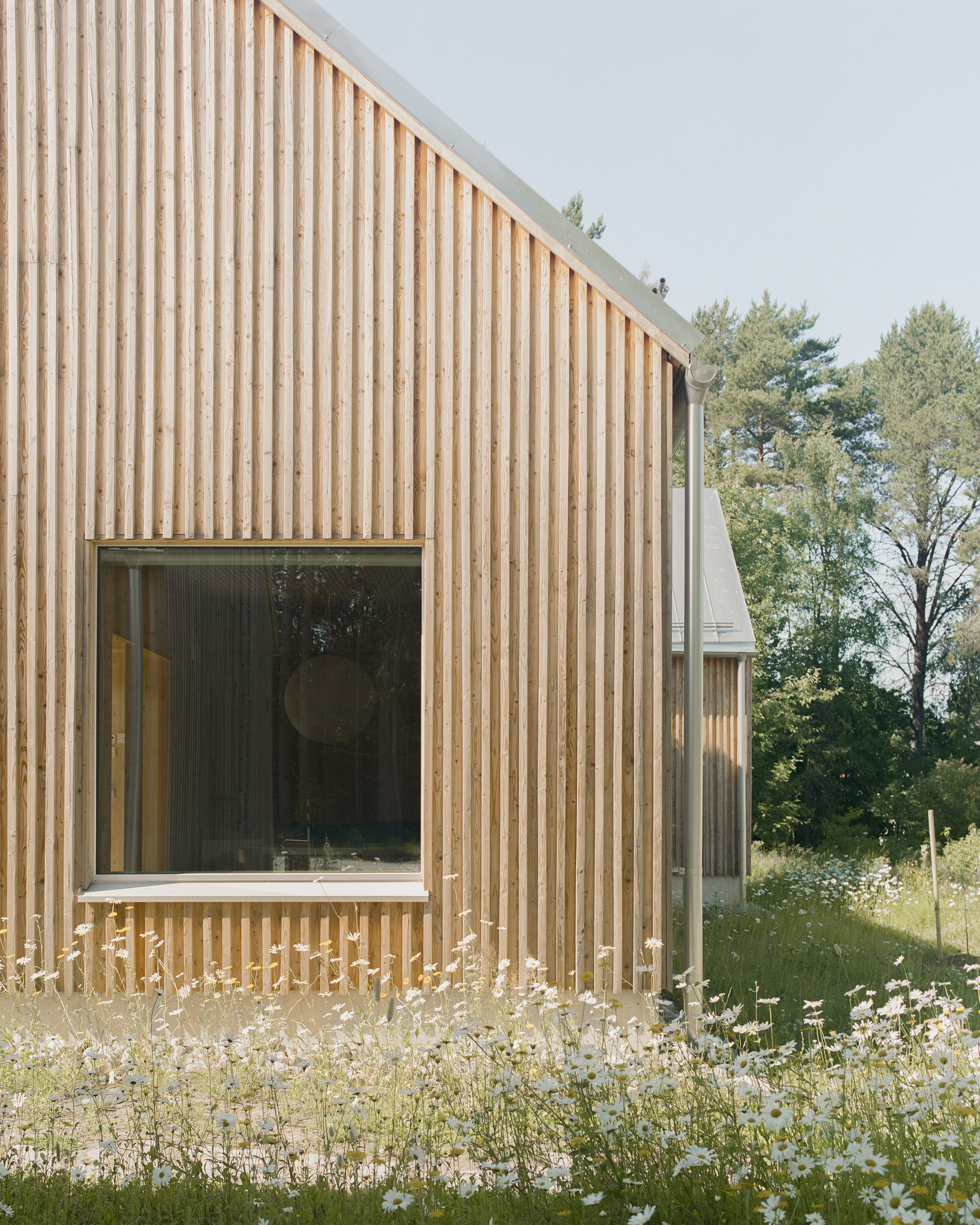 梅里波蒂家族丨芬兰奥卢丨LUO Architects-28