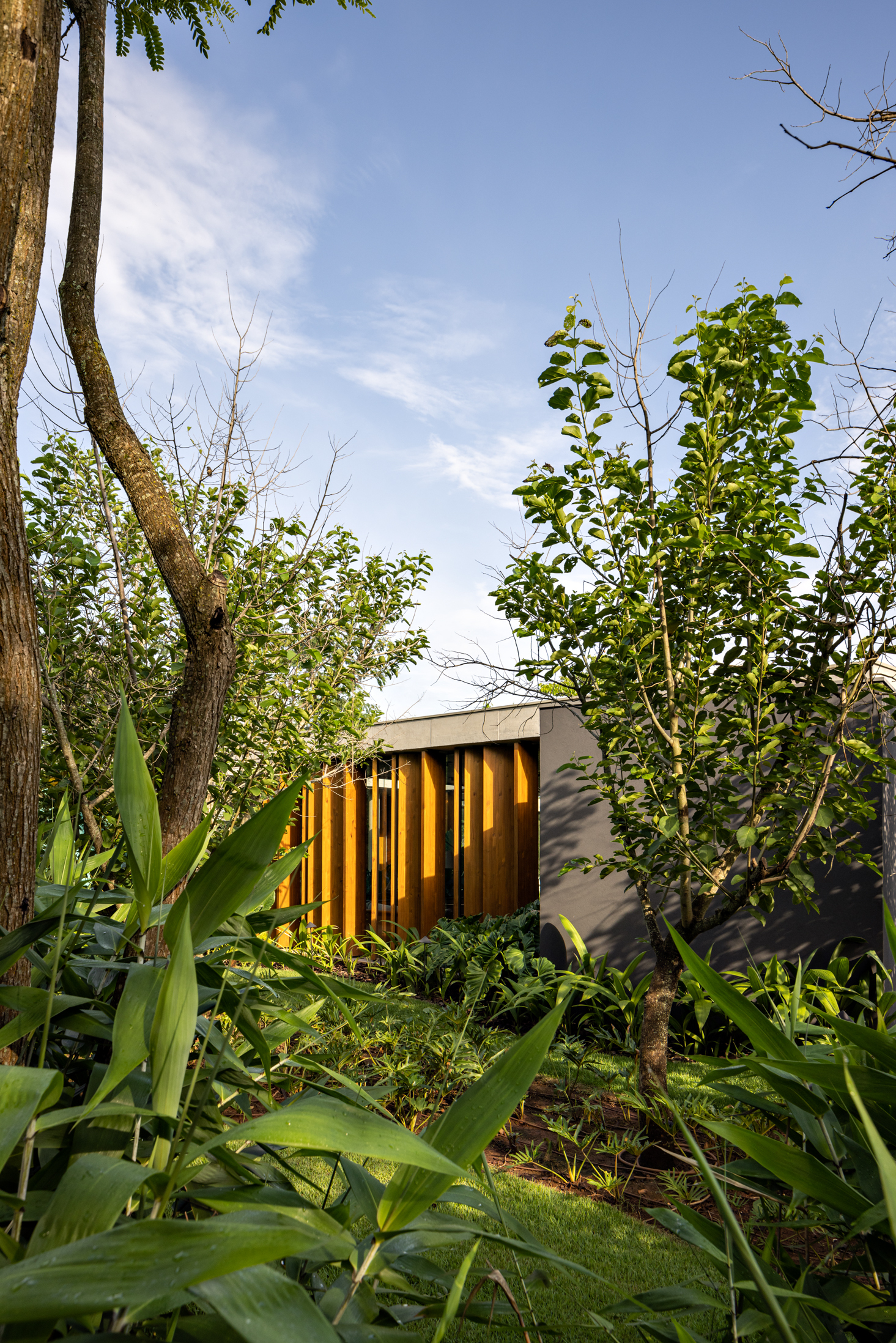 卡瓦略宅邸丨巴西丨FGMF-39