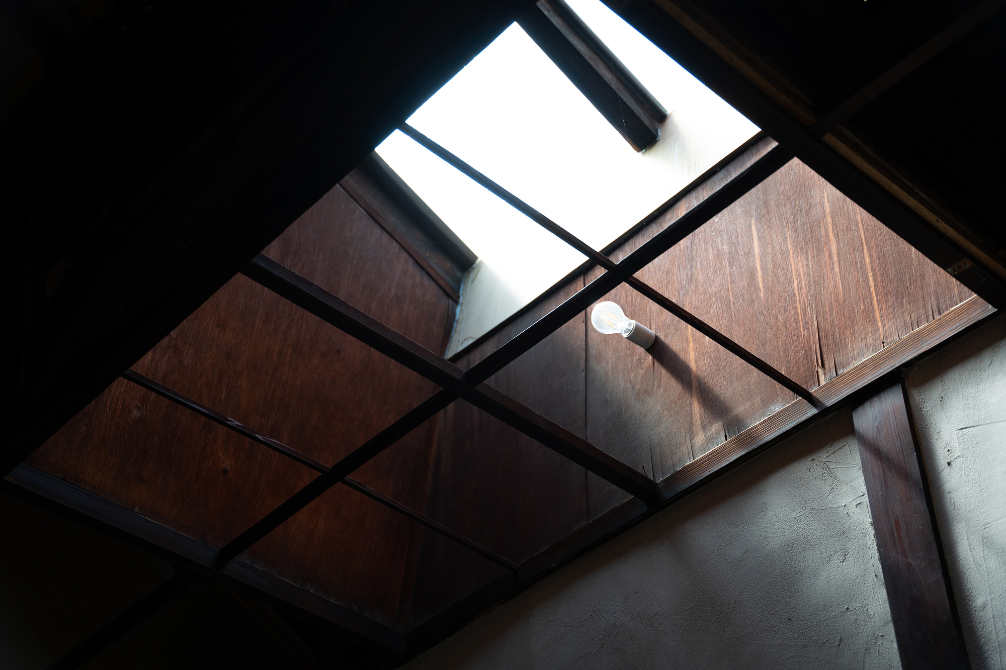 画廊形状丨日本丨Negishi Kenchiku Studio-18