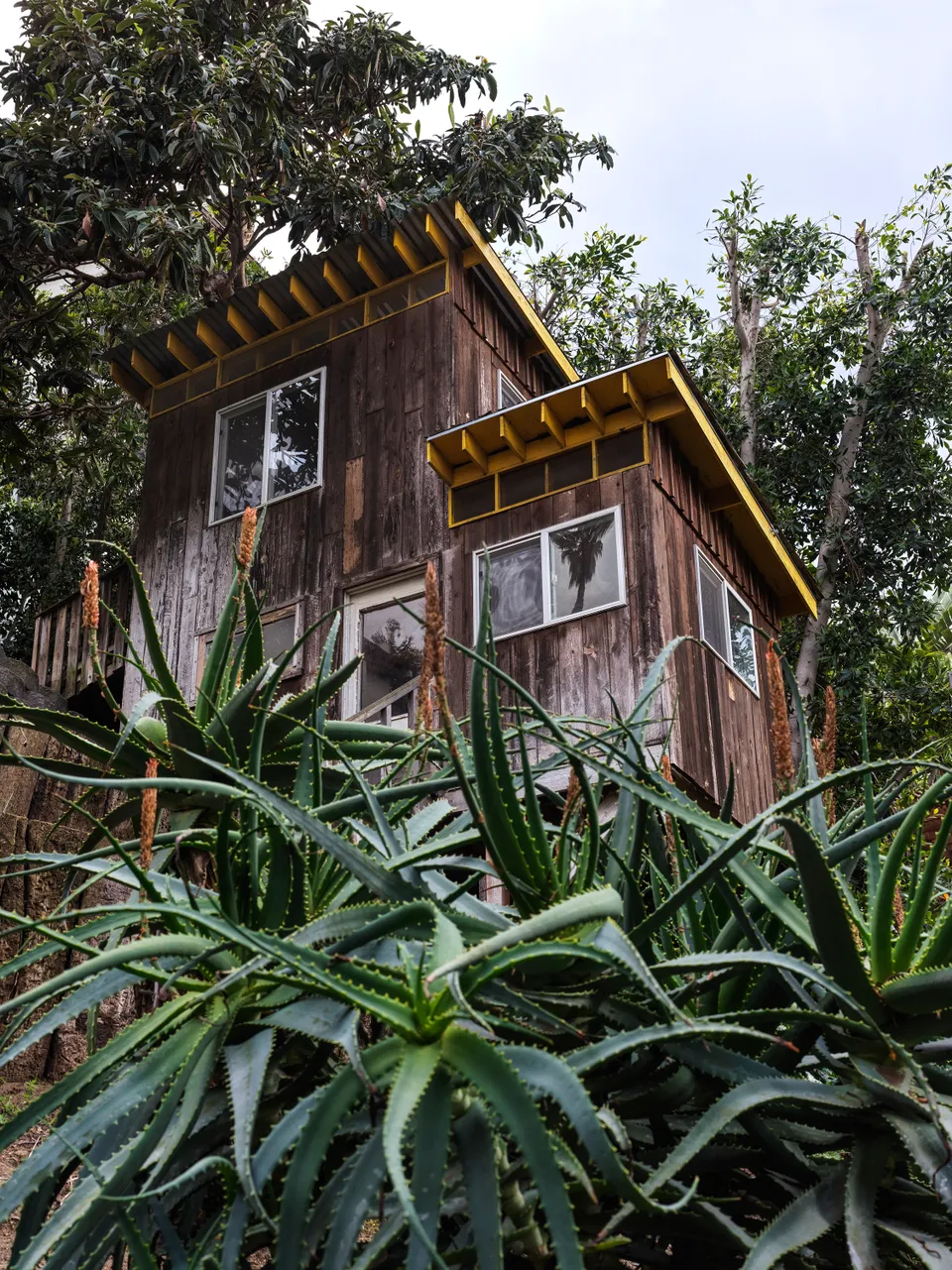 Casa CrespoChinlund 住宅翻新项目丨美国洛杉矶丨艾伦·科赫,凯伦·斯佩克特-49