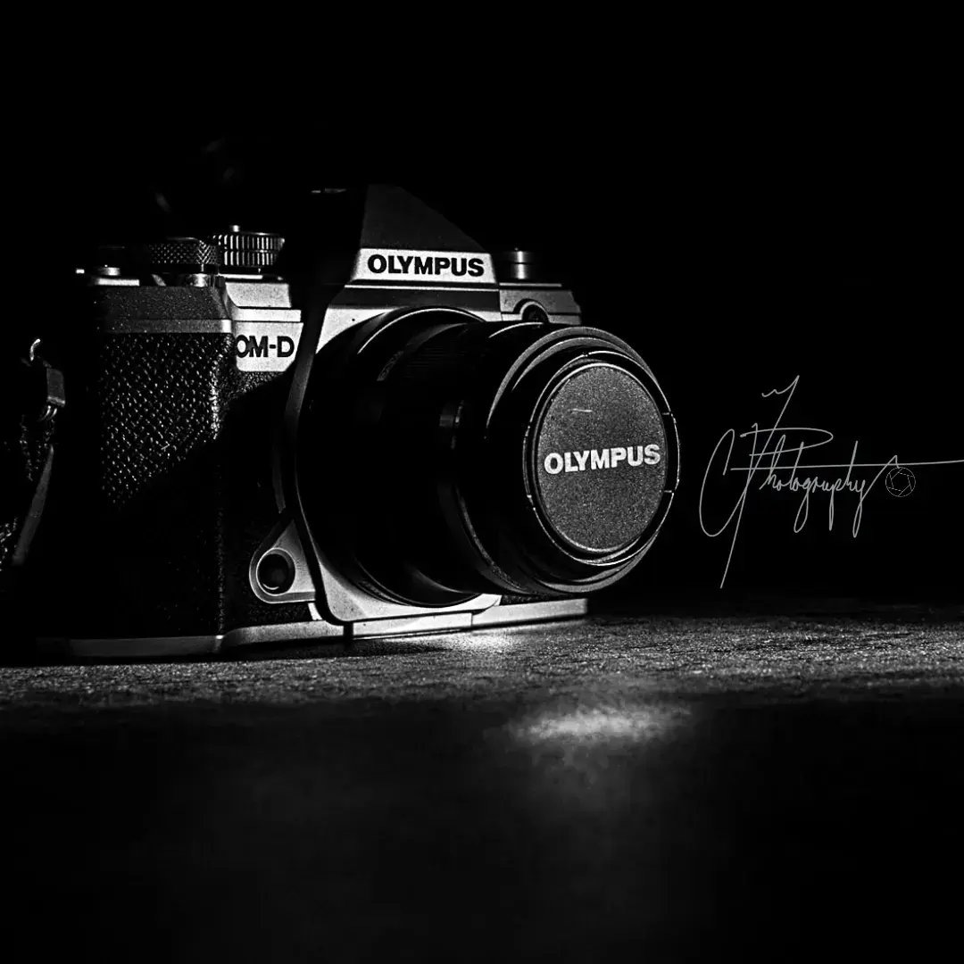 奥米加数码系统大使-38