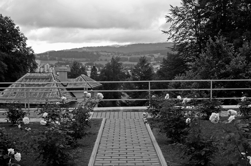 Вилла Жаннере  Перре（珍妮尔  佩雷别墅）丨Ле Корбюзье（勒·柯布西耶）-25