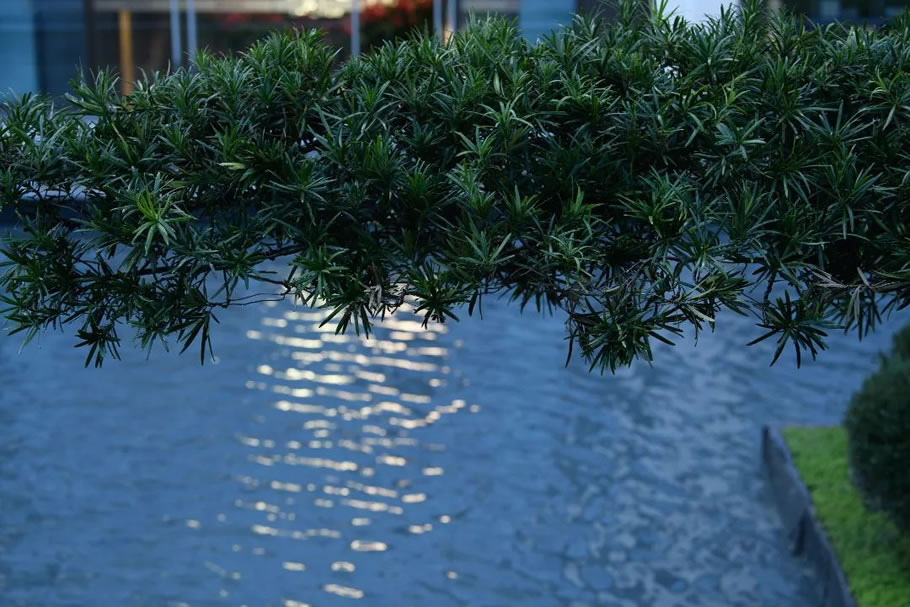 汕头蔚蓝湾示范区丨中国汕头丨深圳市喜喜仕景观及建筑规划设计有限公司-84