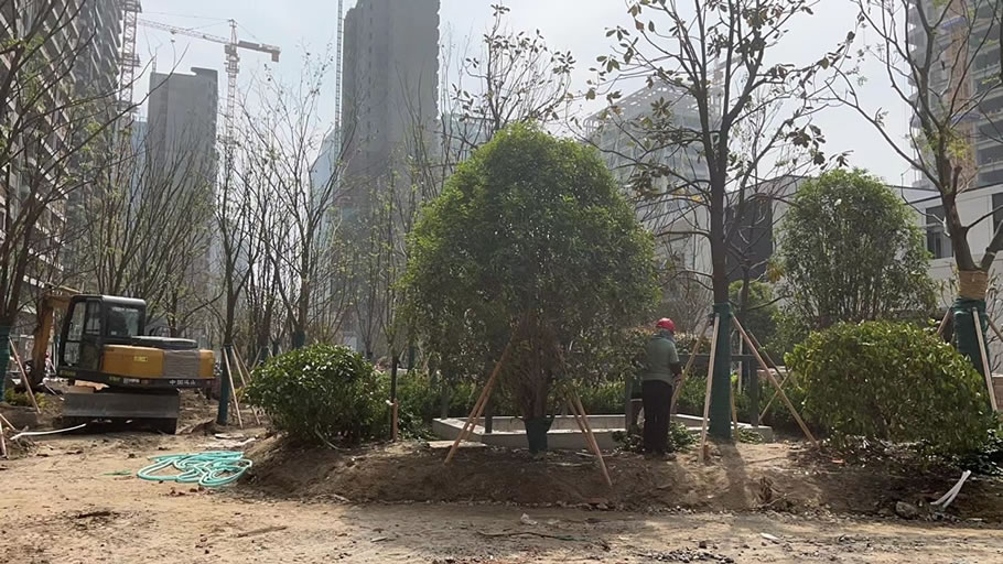 扬州天月府住宅小区丨中国扬州丨江苏华建集团旗下扬州华腾置业有限公司-35