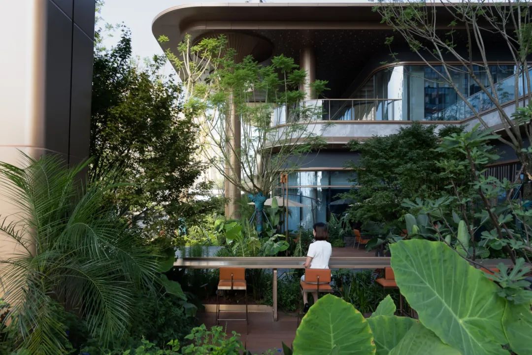 夏日雨林 | 成都德桦·御湖和境-52