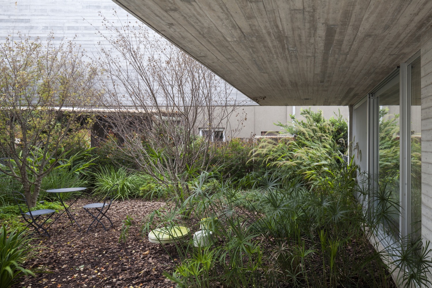 阿根廷 House 131 住宅-20