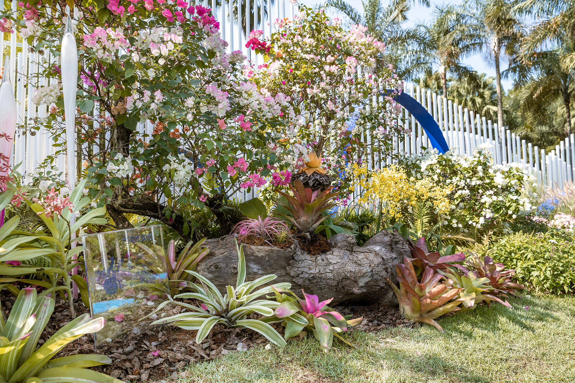 深圳簕杜鹃花展坪山区精品花园丨中国深圳-18