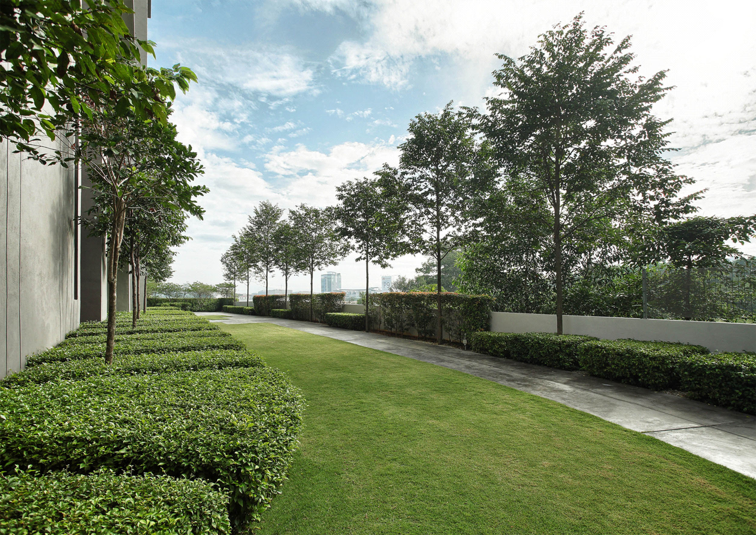 吉隆坡森林秘境——Azelia 住宅景观设计-26