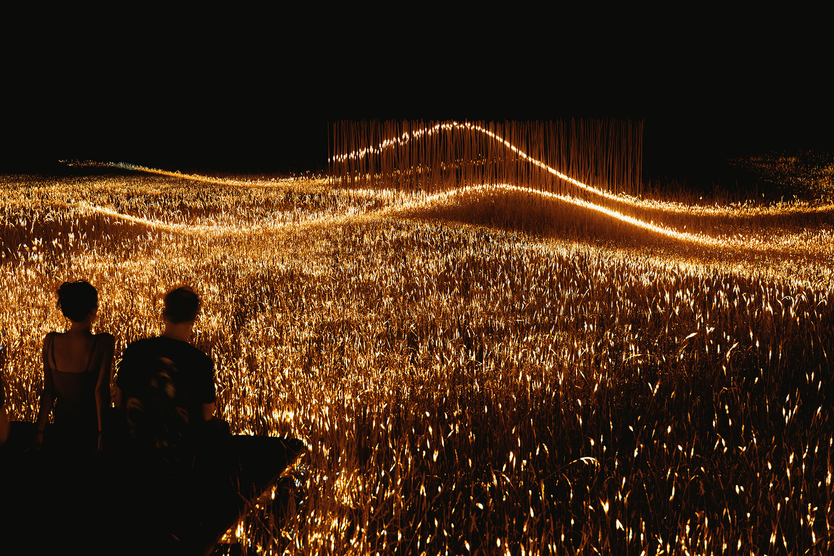 Phorest灯光装置丨1024 architecture-10