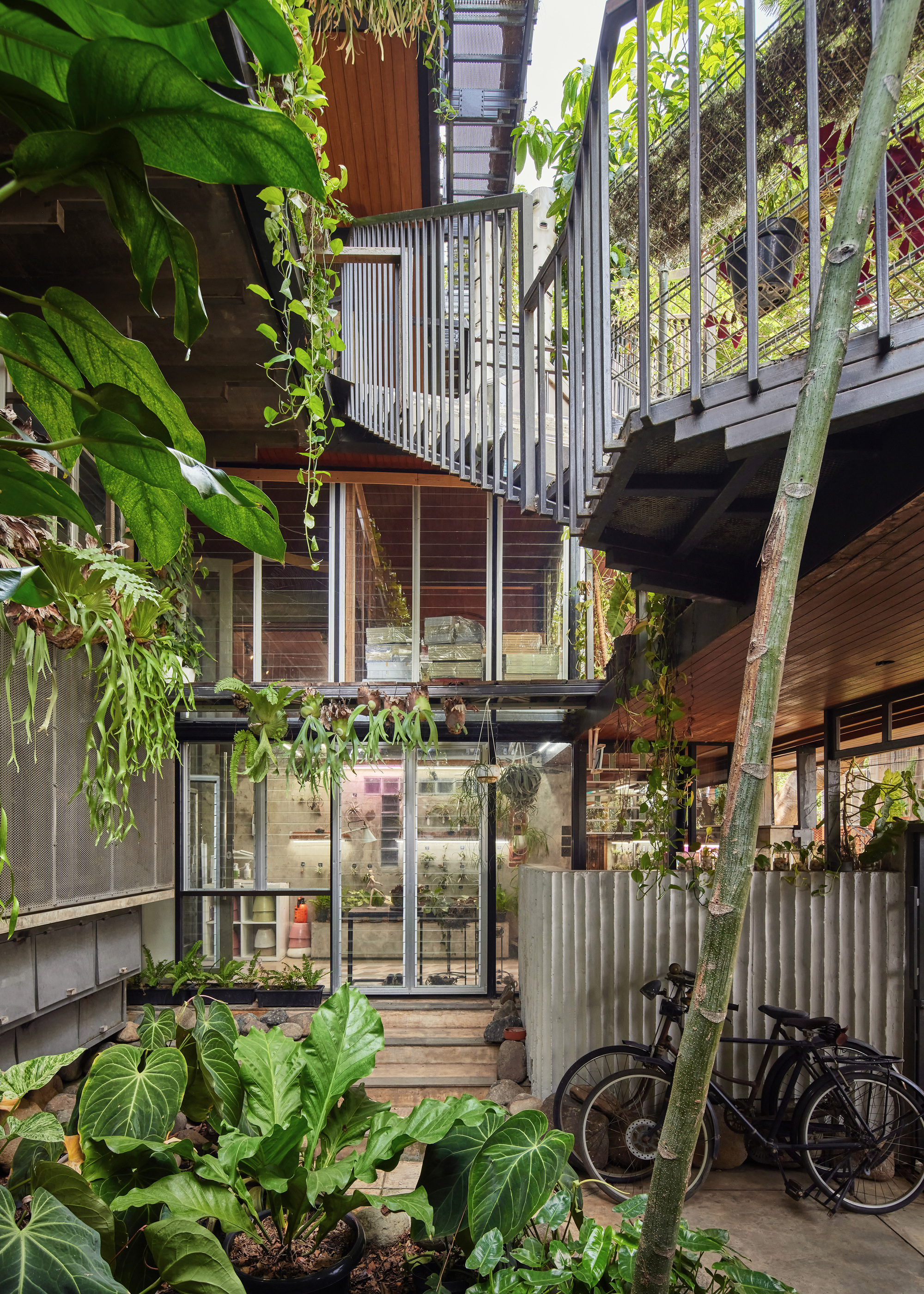 绿意盎然的别墅住宅兼工作室丨印度丨Realrich Architecture Workshop-56