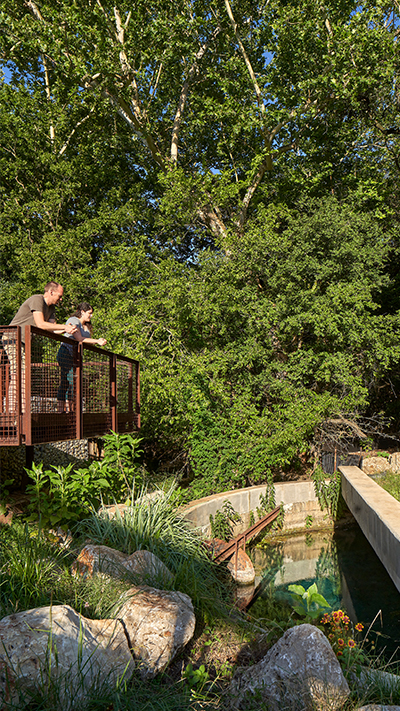 Headwaters at the Comal-0