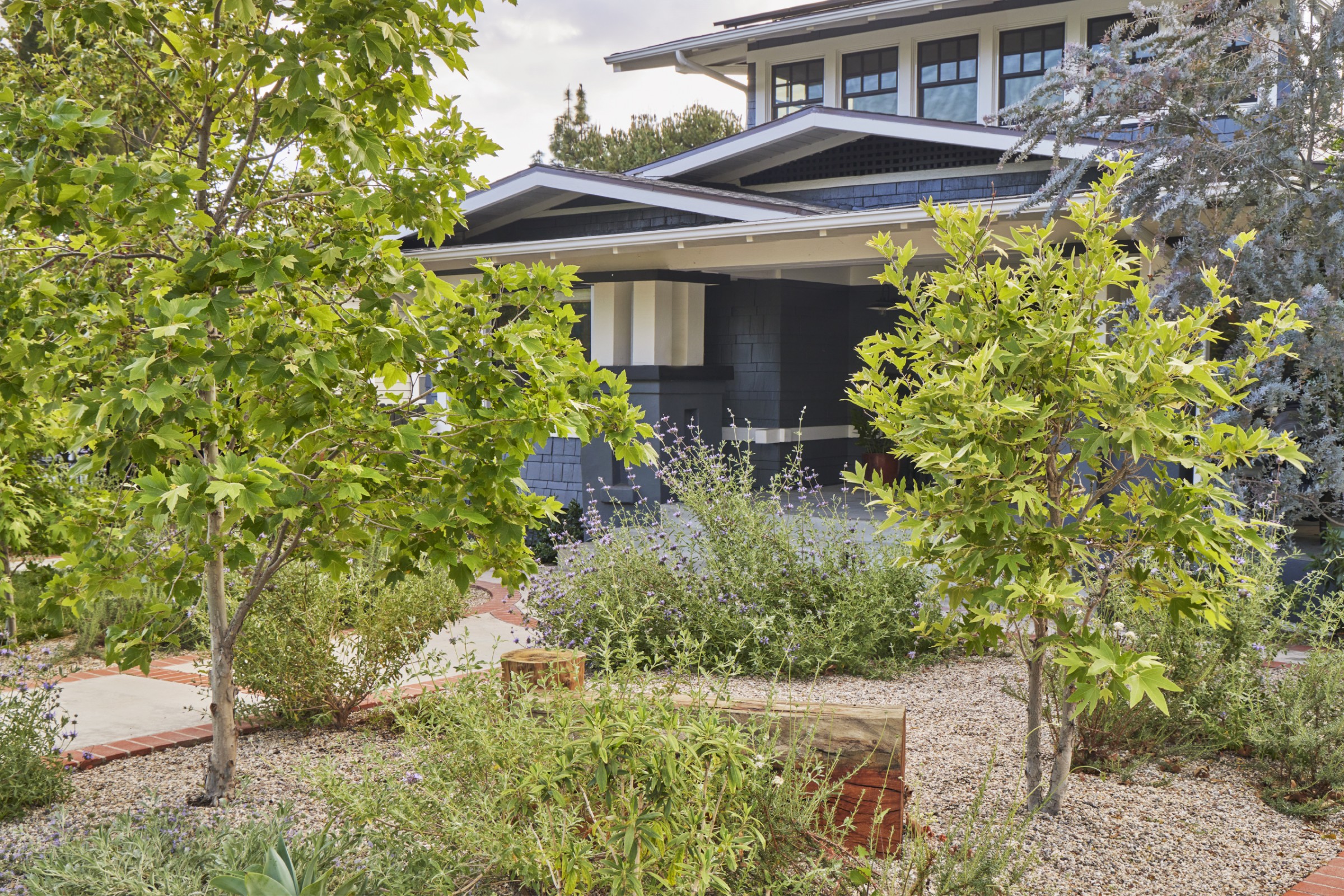 用时间酝酿，为孩子们创造的野趣花园丨美国丨TERREMOTO-25