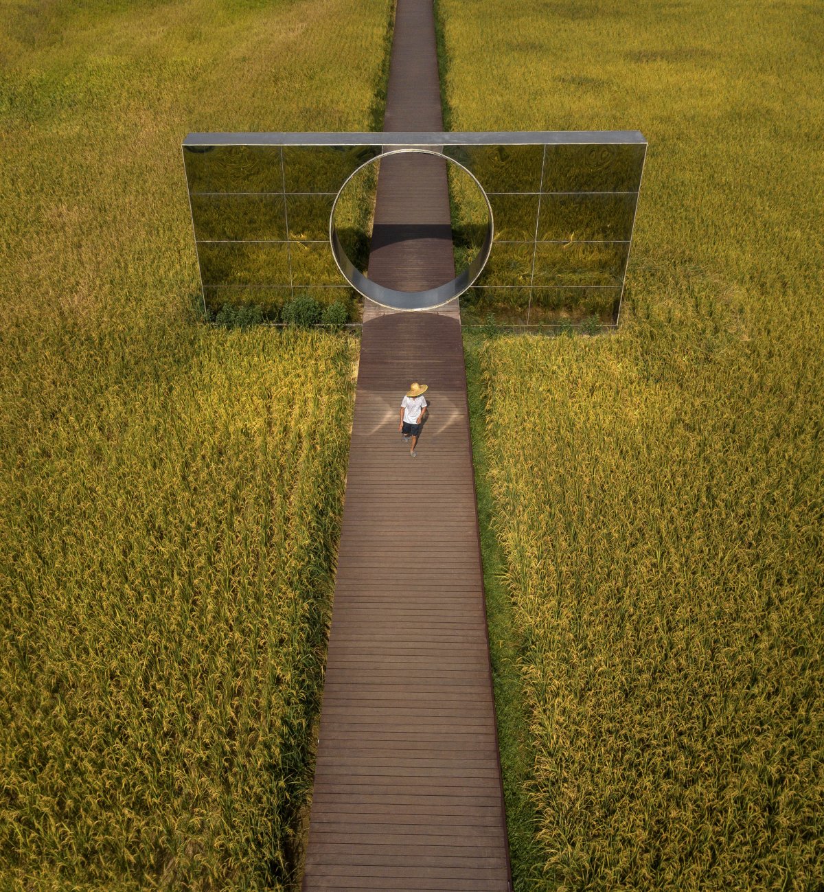 艾米未来农业文旅小镇丨加减智库-21