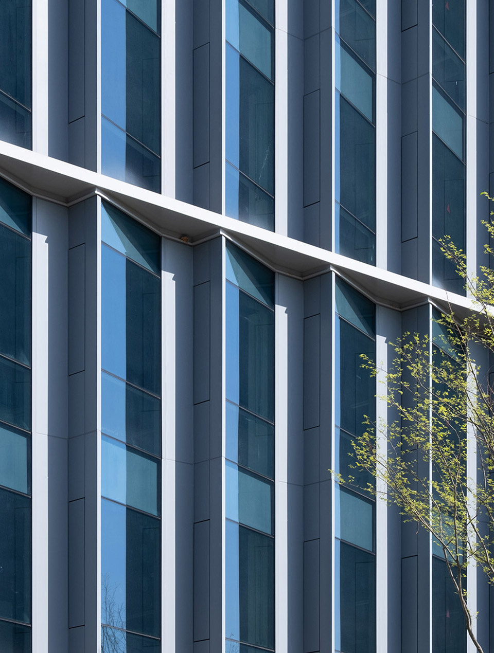 海康威视成都科技园 | 公园化的高科技产业园区设计-55